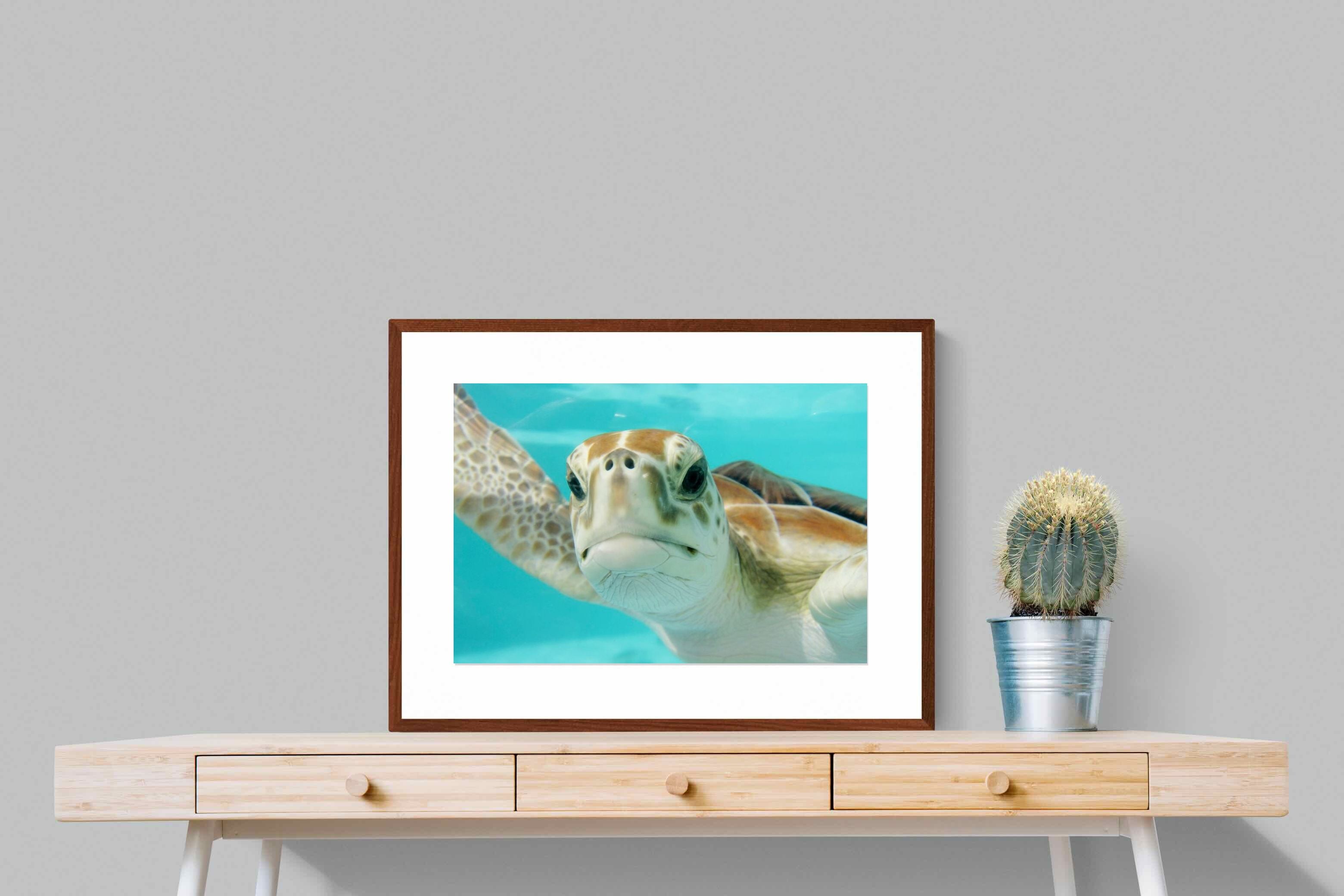 Pixalot ® Hello Turtle