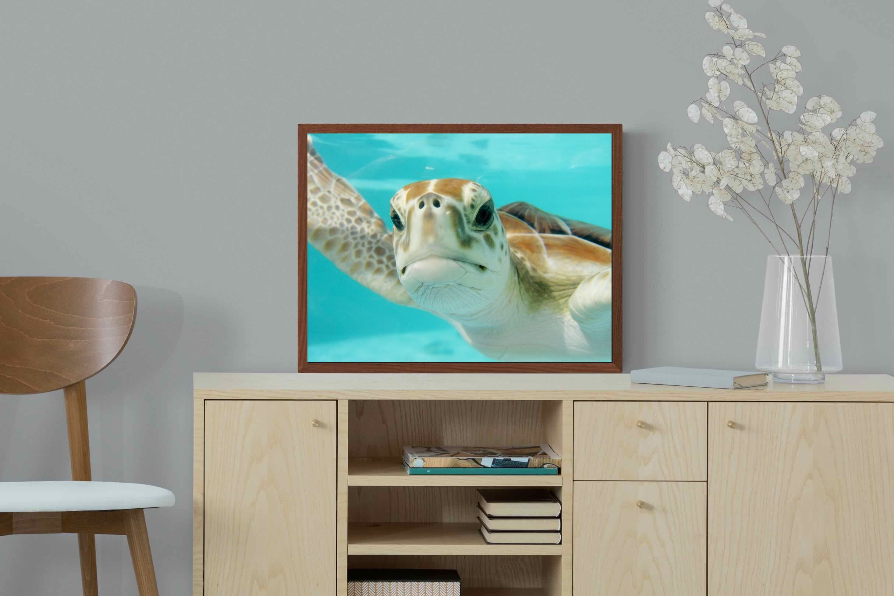 Pixalot ® Hello Turtle