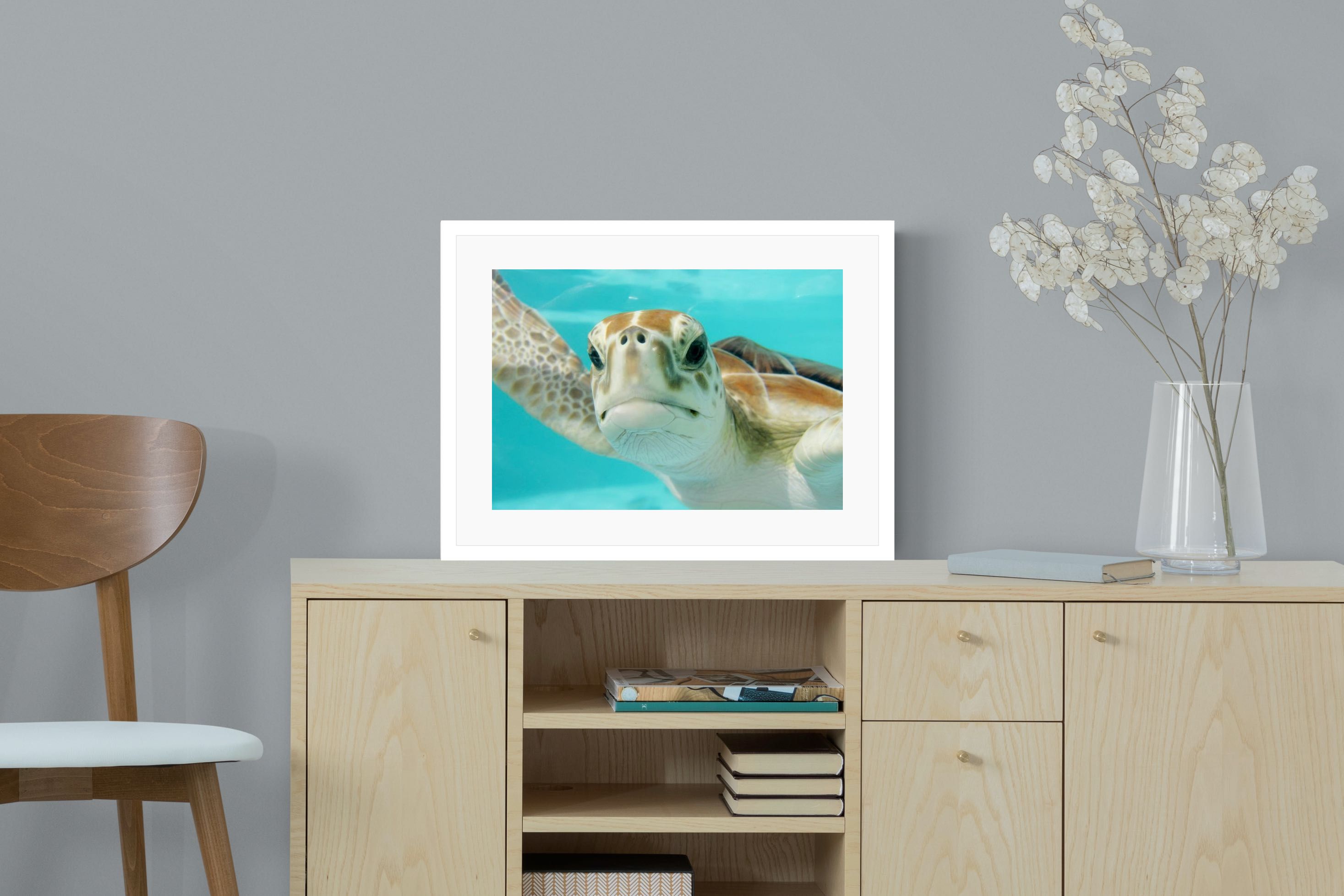 Pixalot ® Hello Turtle