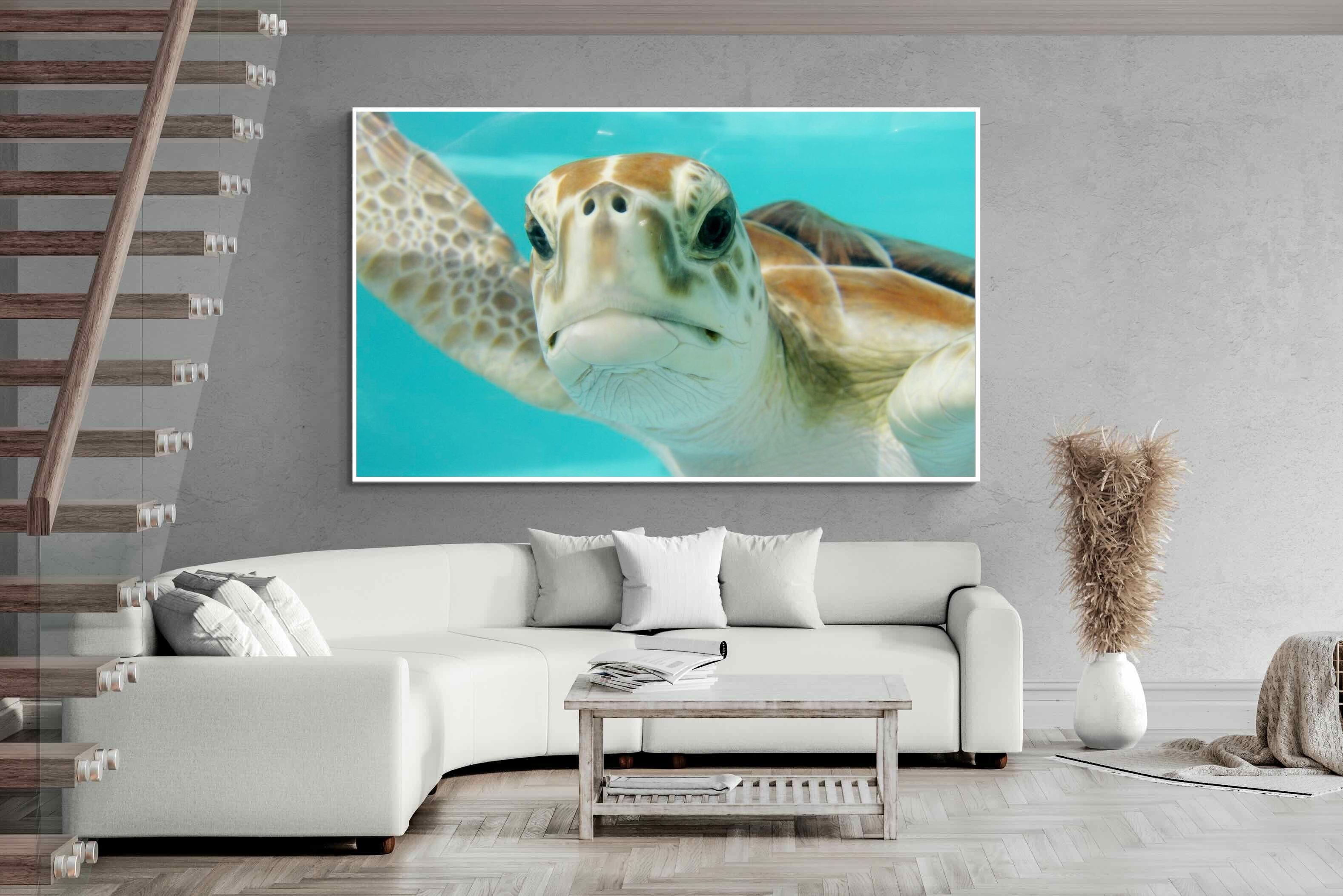 Pixalot ® Hello Turtle