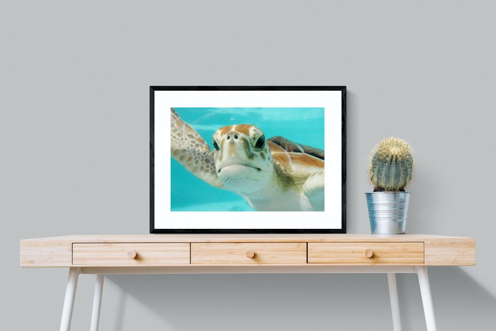 Pixalot ® Hello Turtle