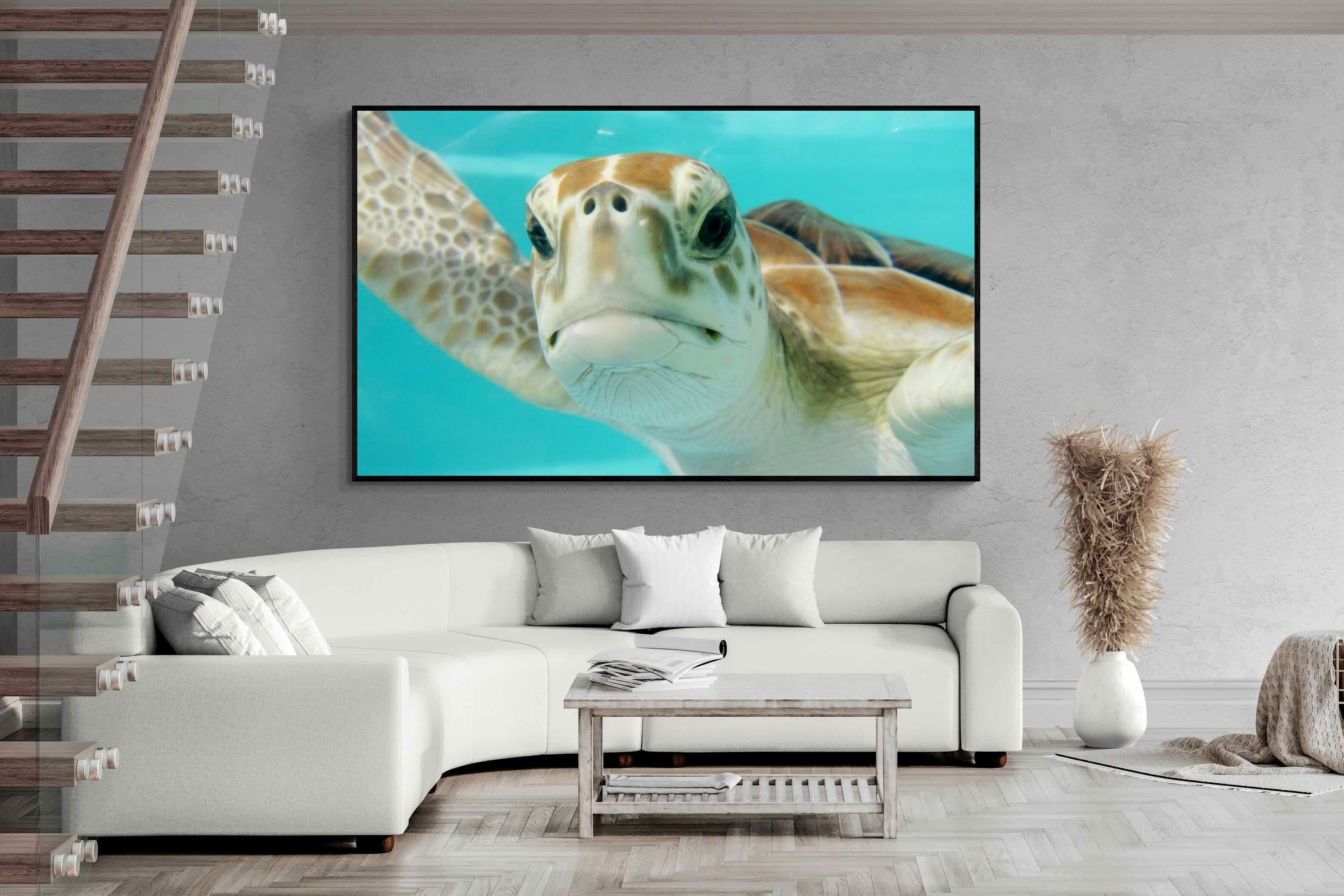 Pixalot ® Hello Turtle
