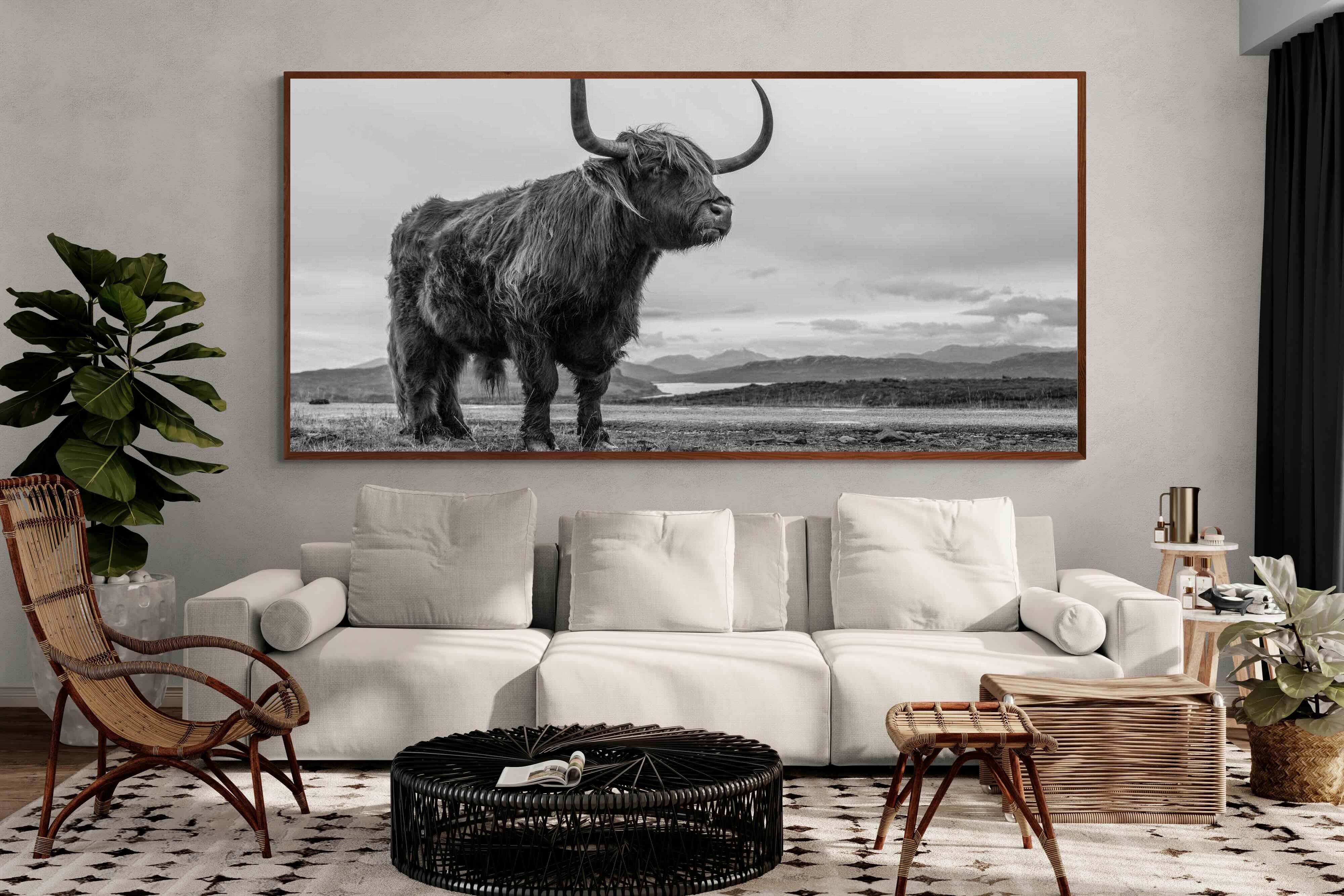 Pixalot ® Highland Cow