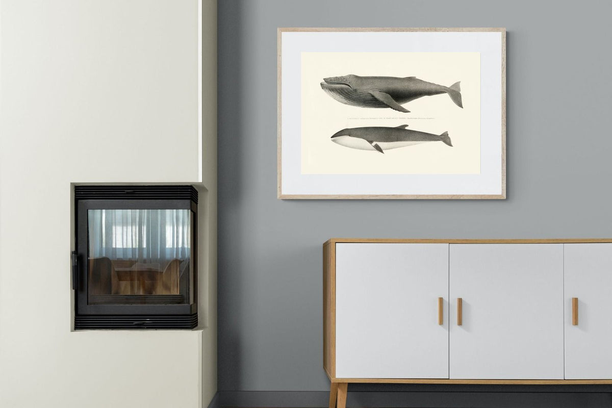 Pixalot ® Humpback & Minke Whales
