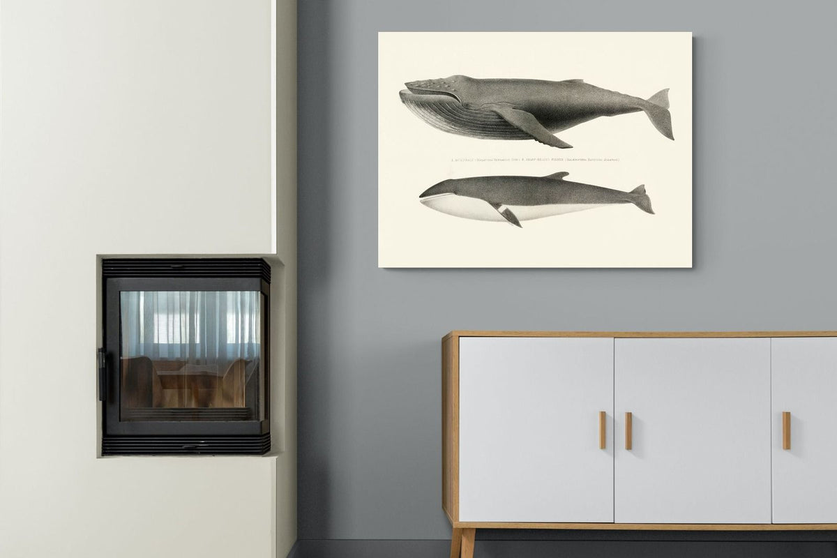 Pixalot ® Humpback & Minke Whales