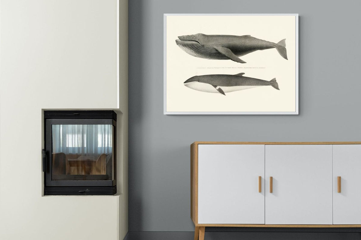 Pixalot ® Humpback & Minke Whales