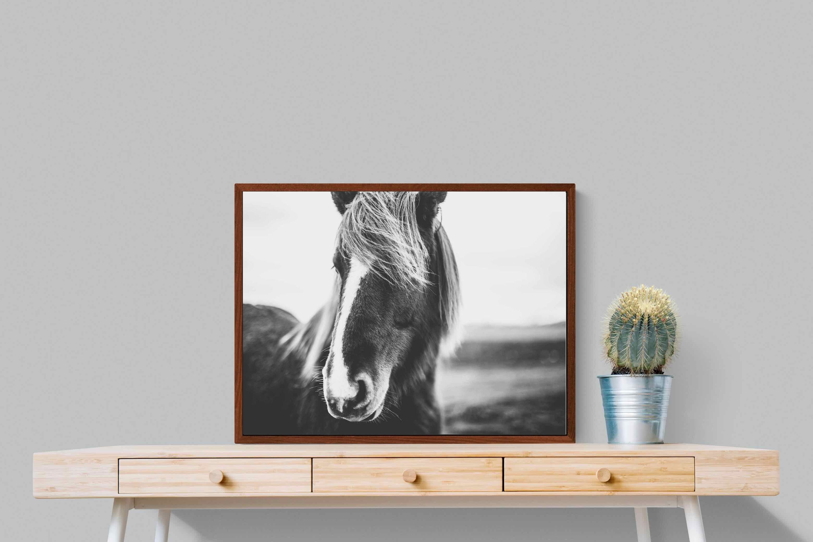 Pixalot ® Icelandic Pony