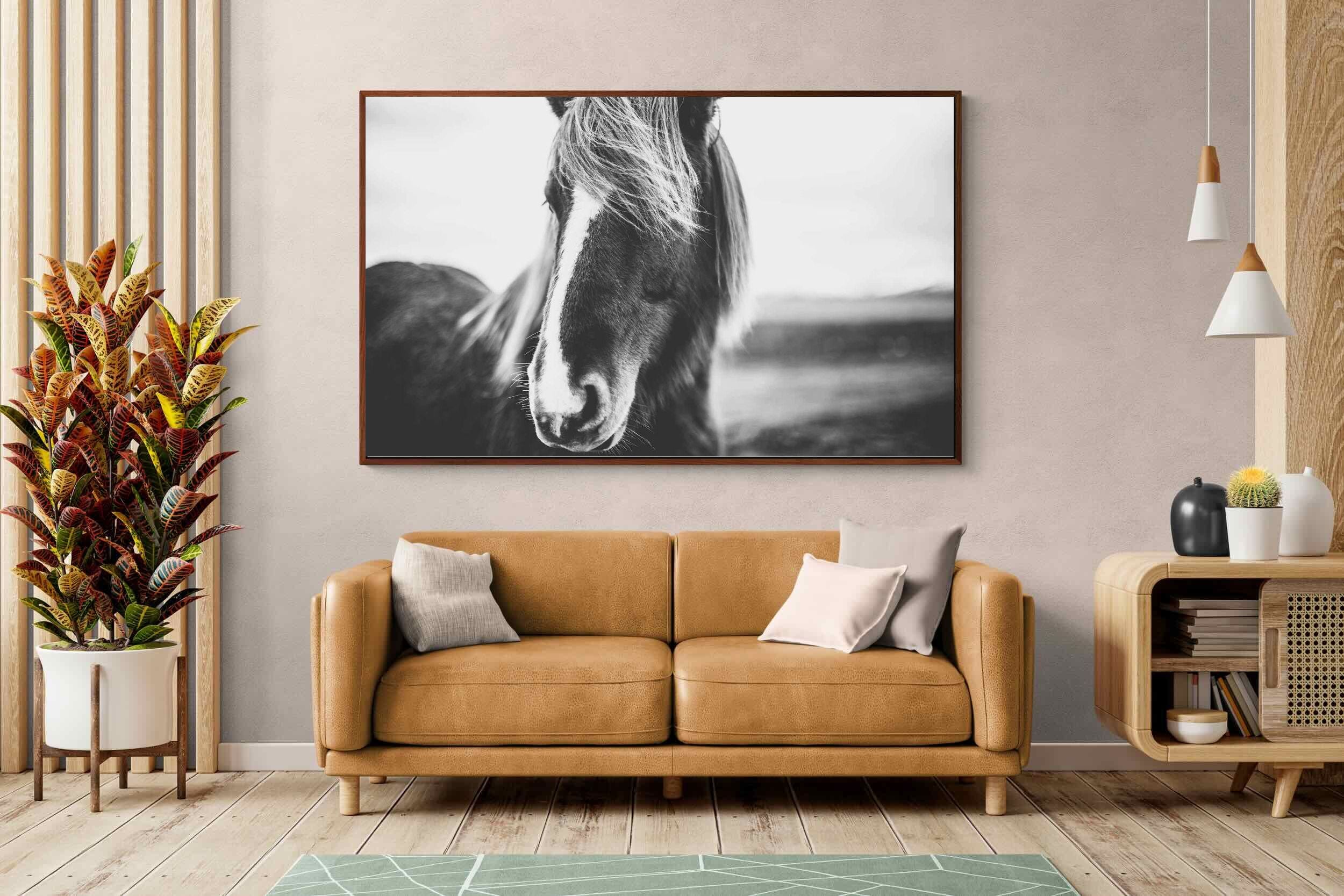 Pixalot ® Icelandic Pony