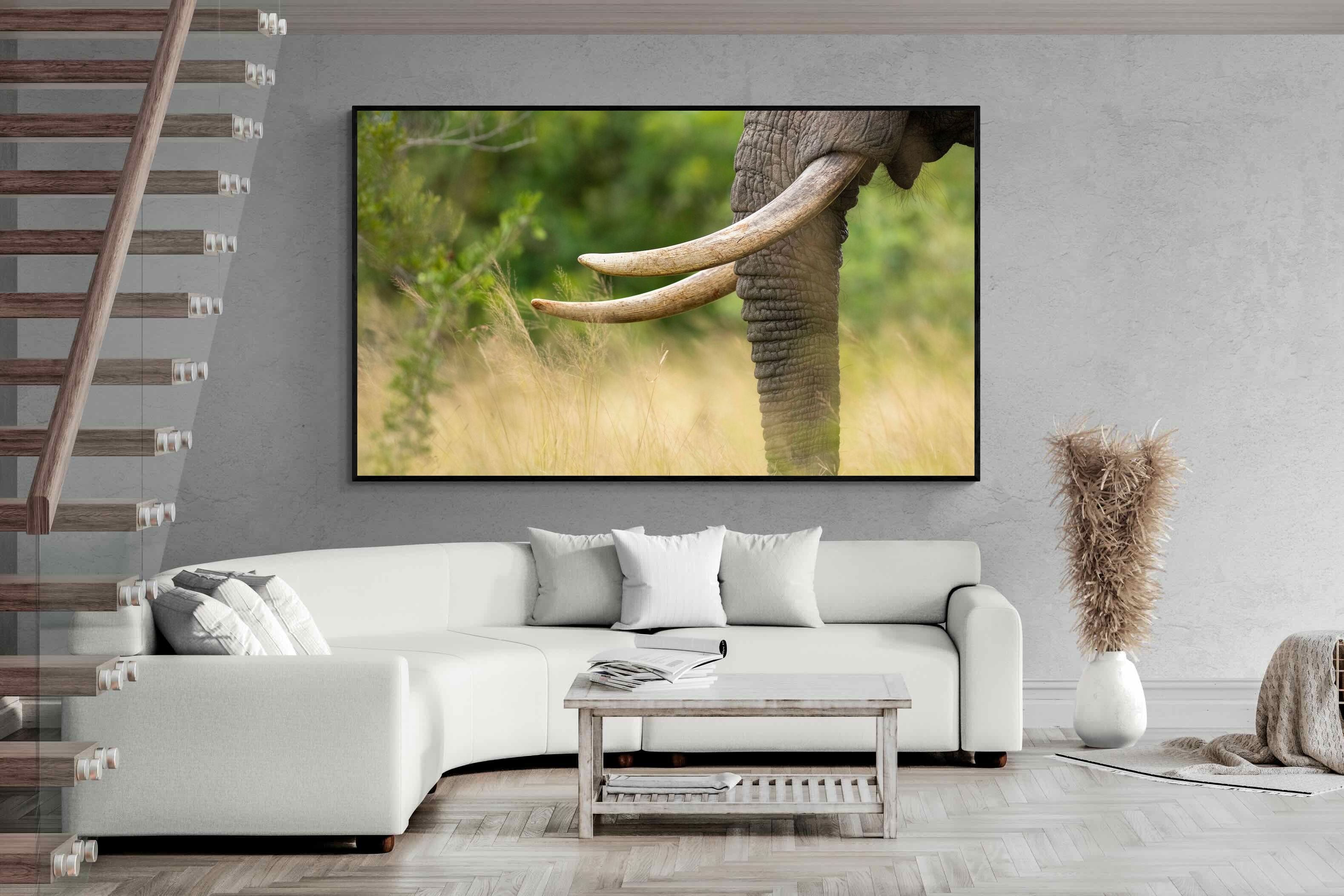 Pixalot ® Ivory Curve