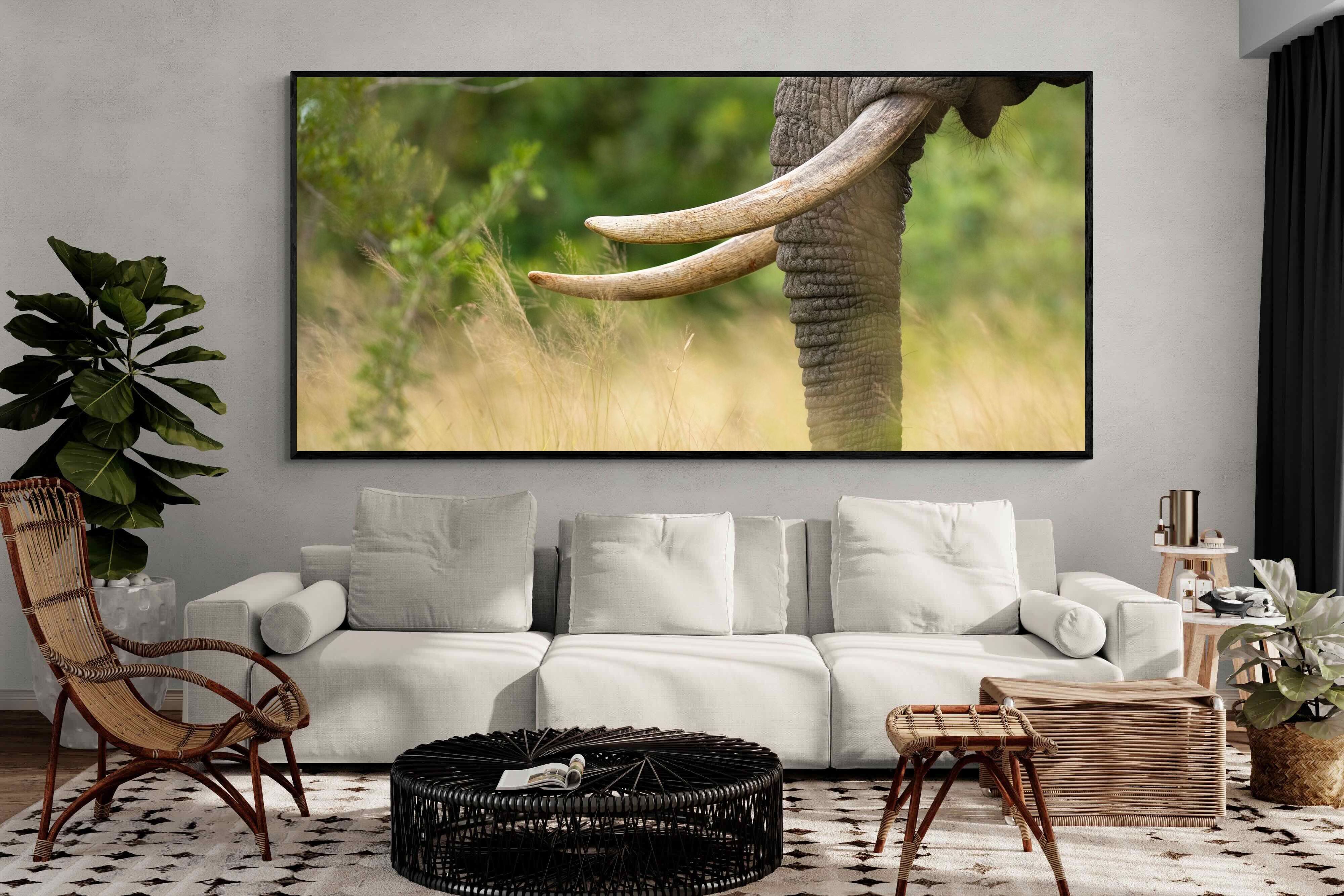 Pixalot ® Ivory Curve