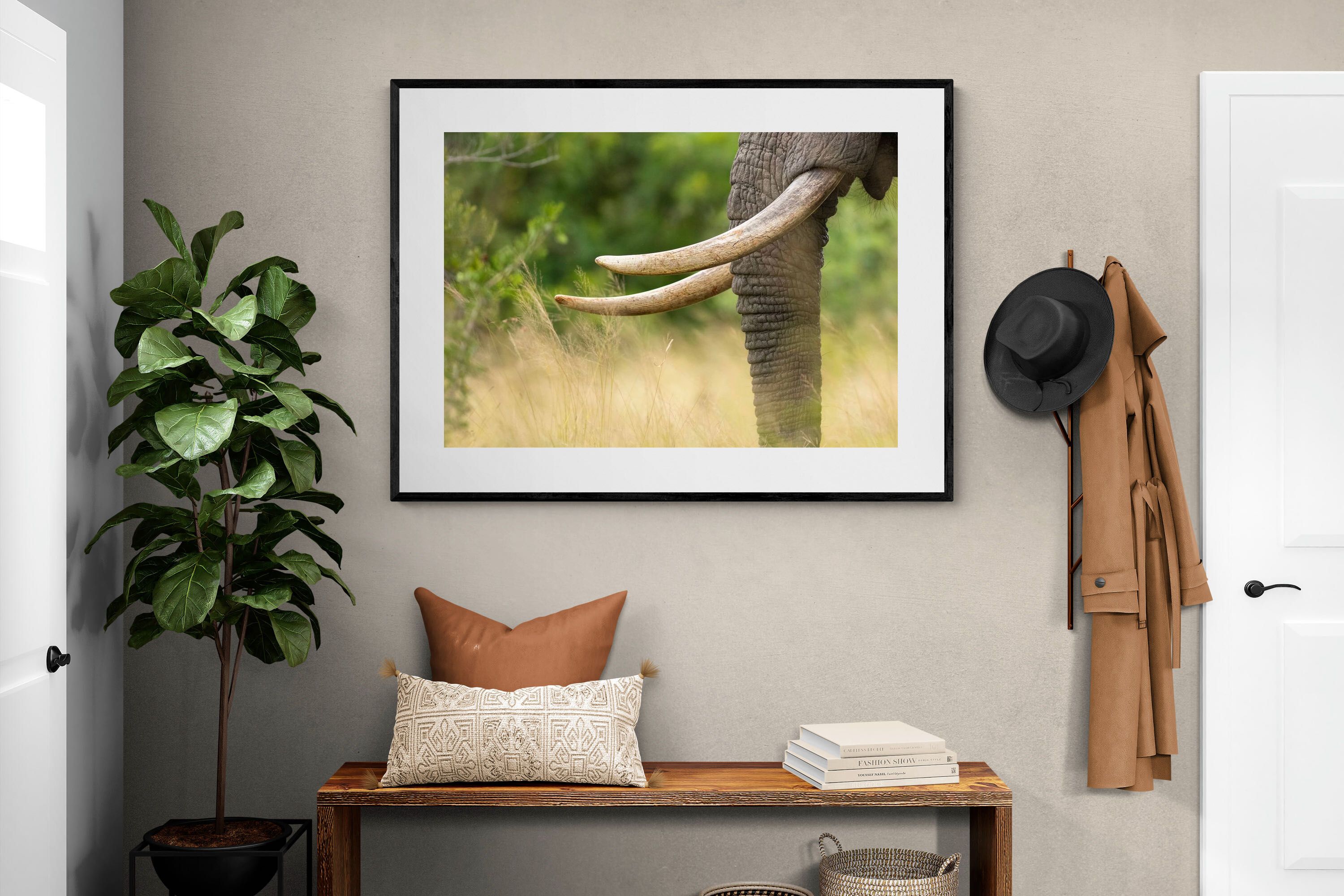 Pixalot ® Ivory Curve