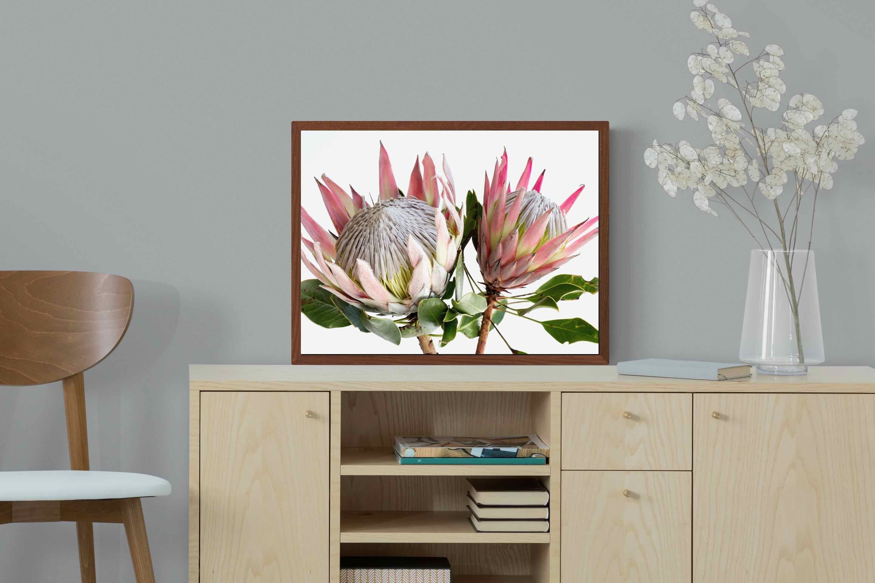 Pixalot ® King Proteas