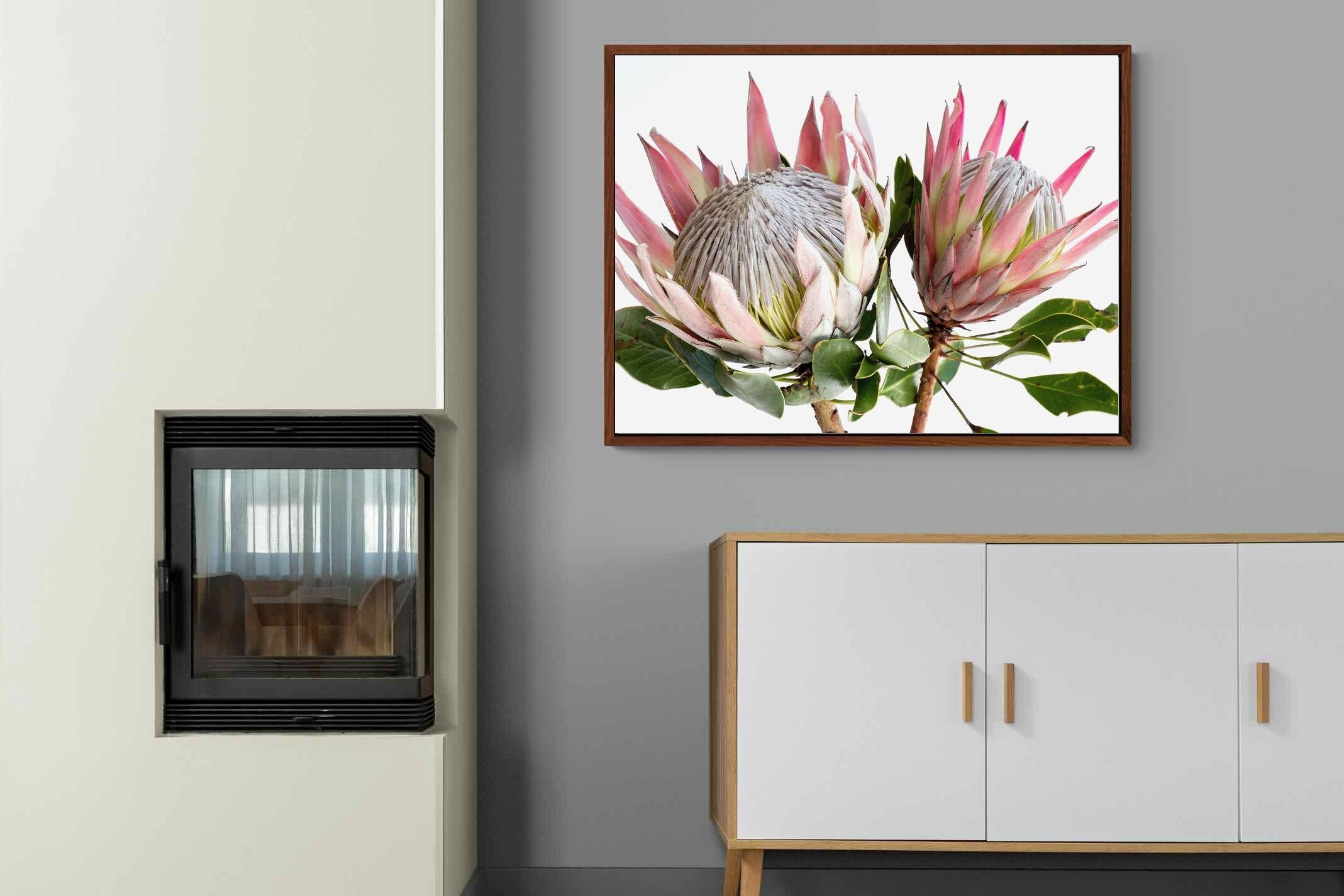 Pixalot ® King Proteas