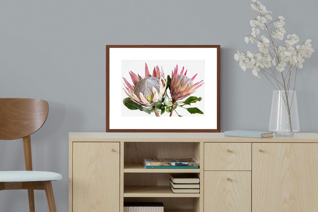 Pixalot ® King Proteas