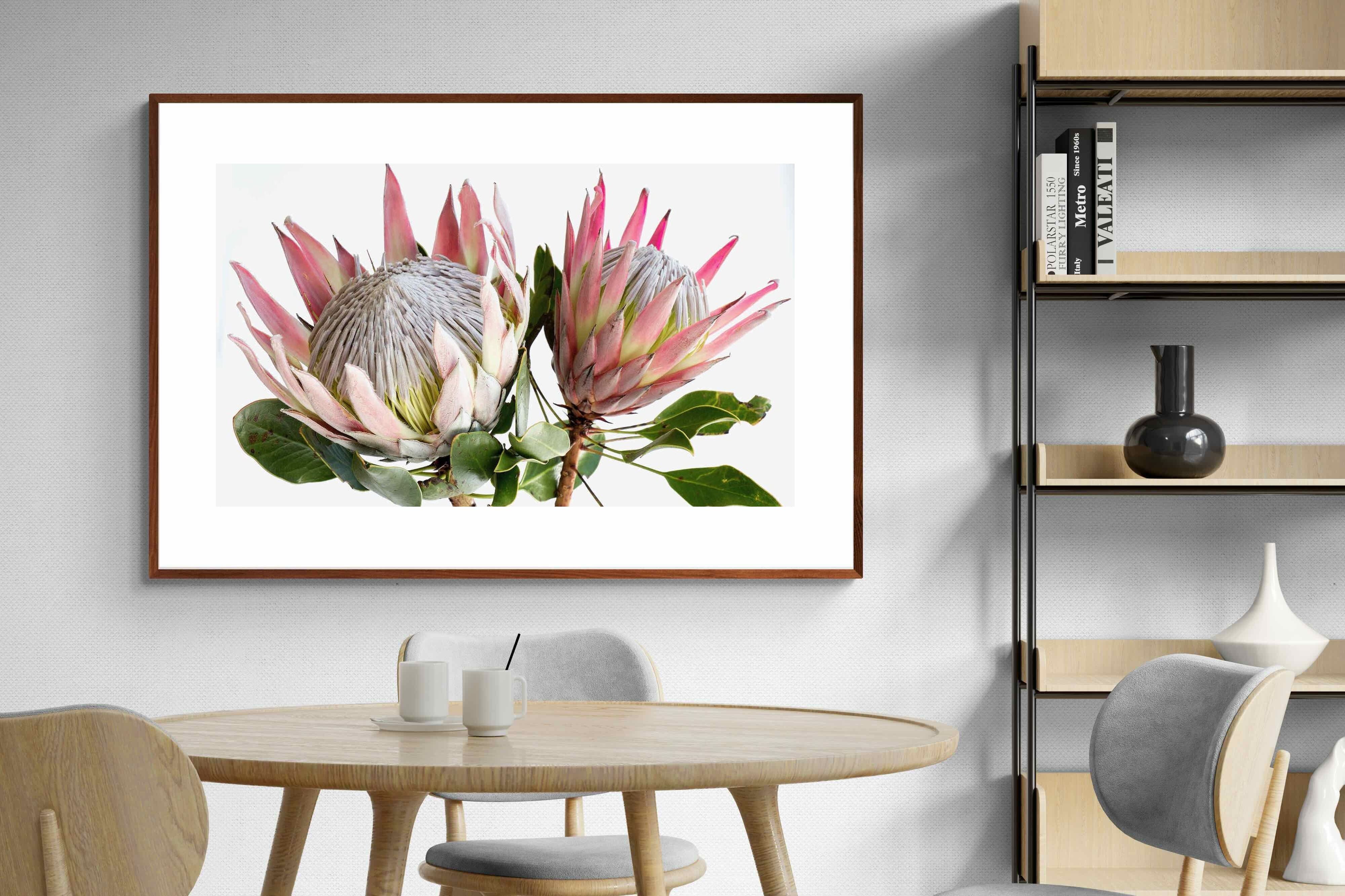 Pixalot ® King Proteas
