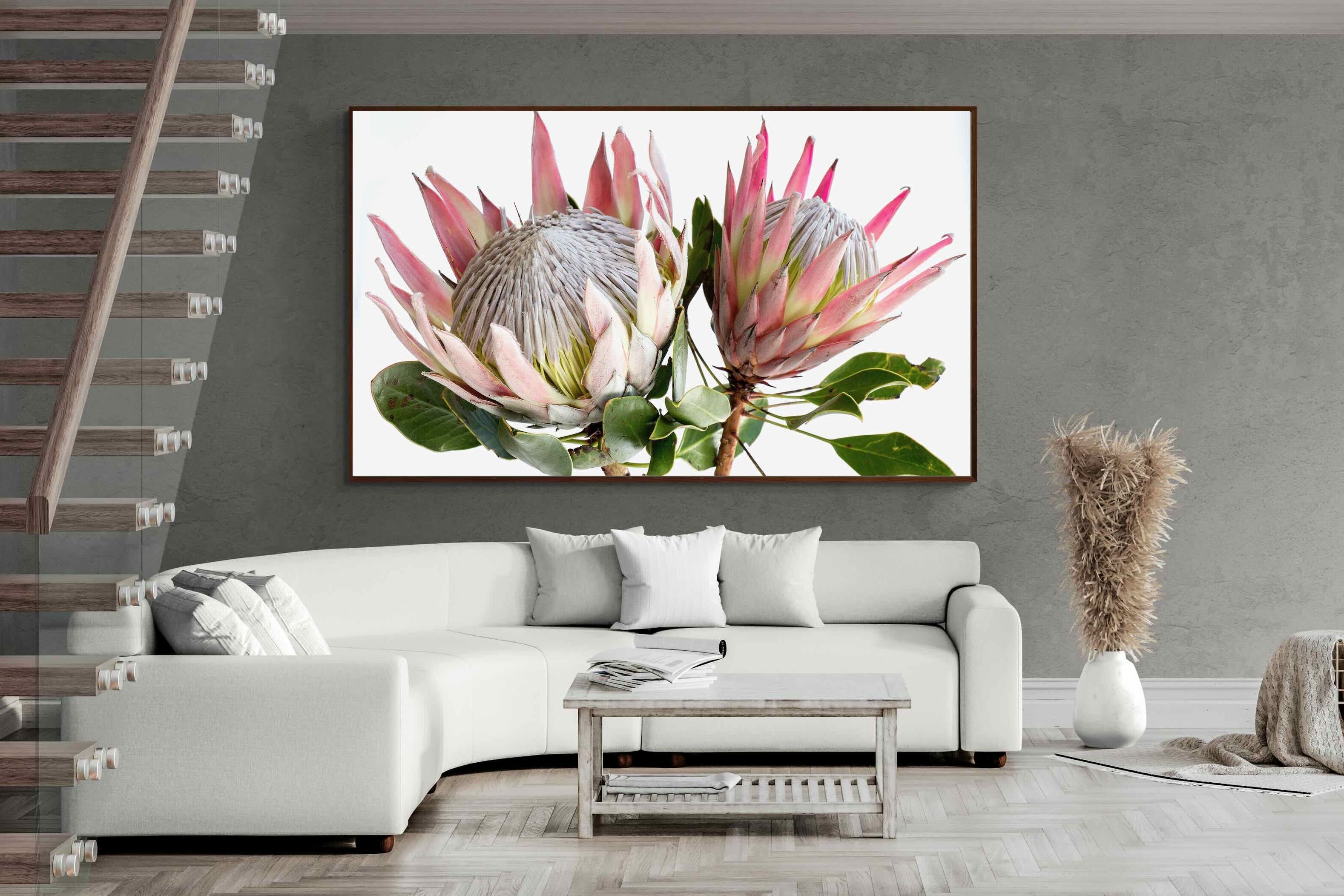 Pixalot ® King Proteas