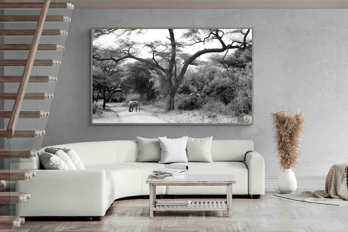Pixalot ® Kruger Footpath