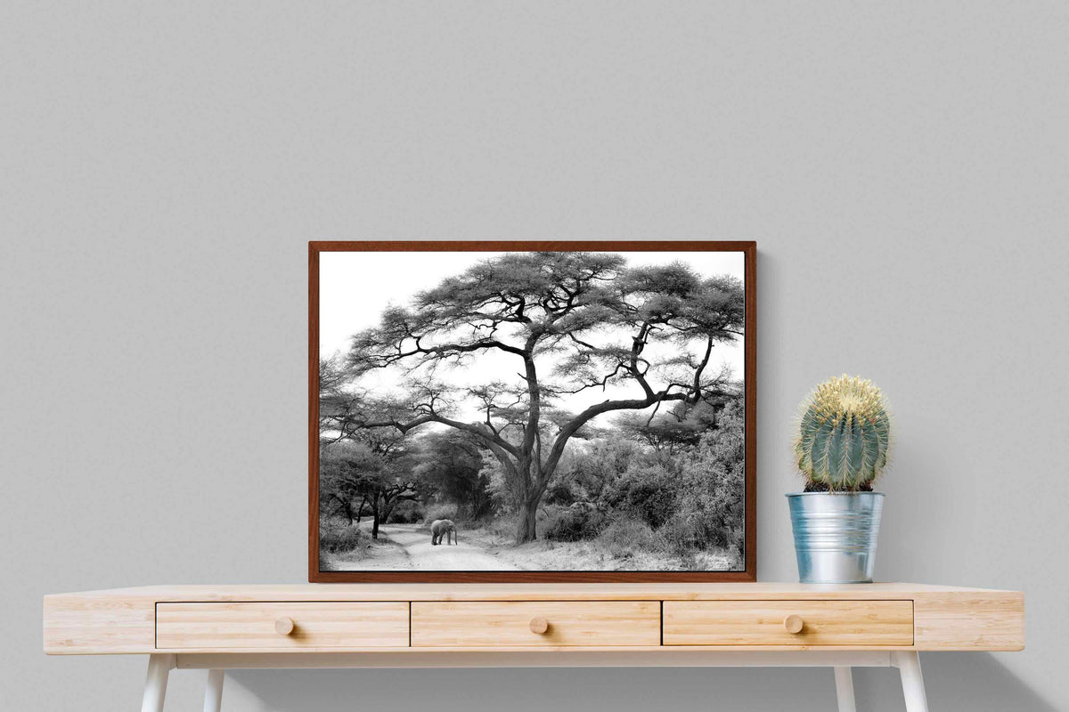 Pixalot ® Kruger Footpath