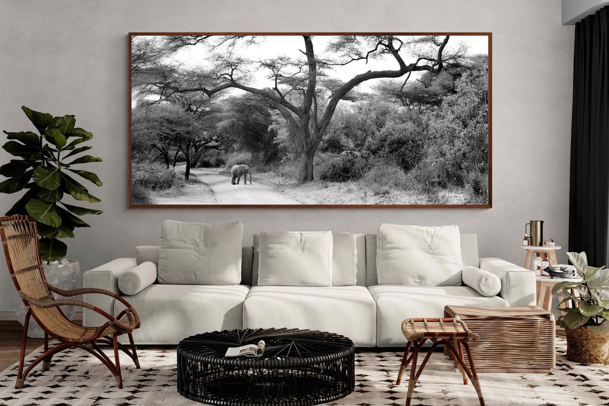 Pixalot ® Kruger Footpath