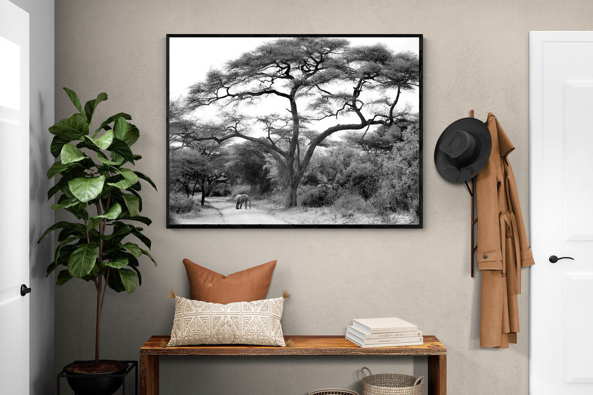 Pixalot ® Kruger Footpath