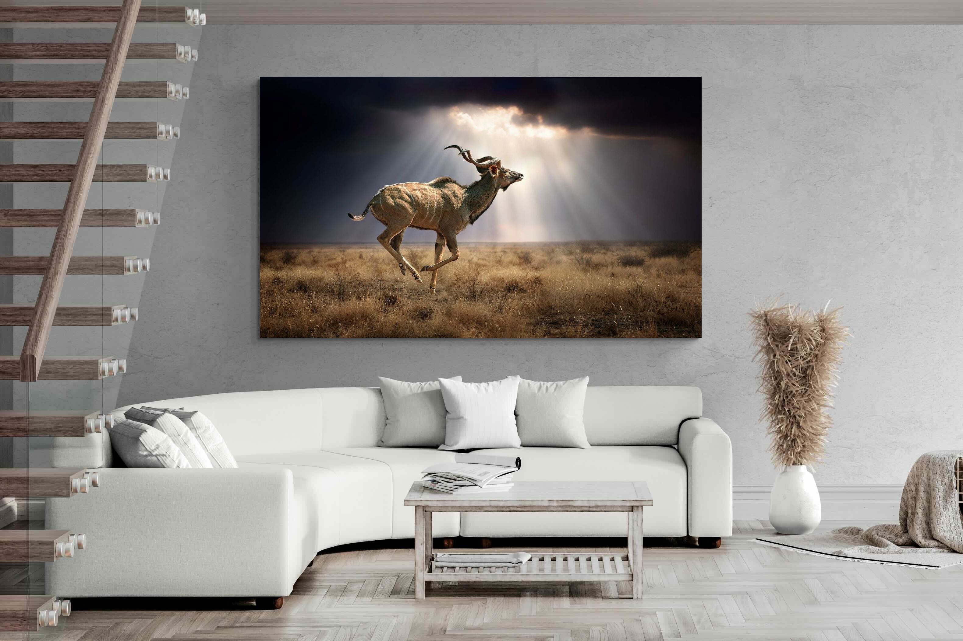 Pixalot ® Leap of Light