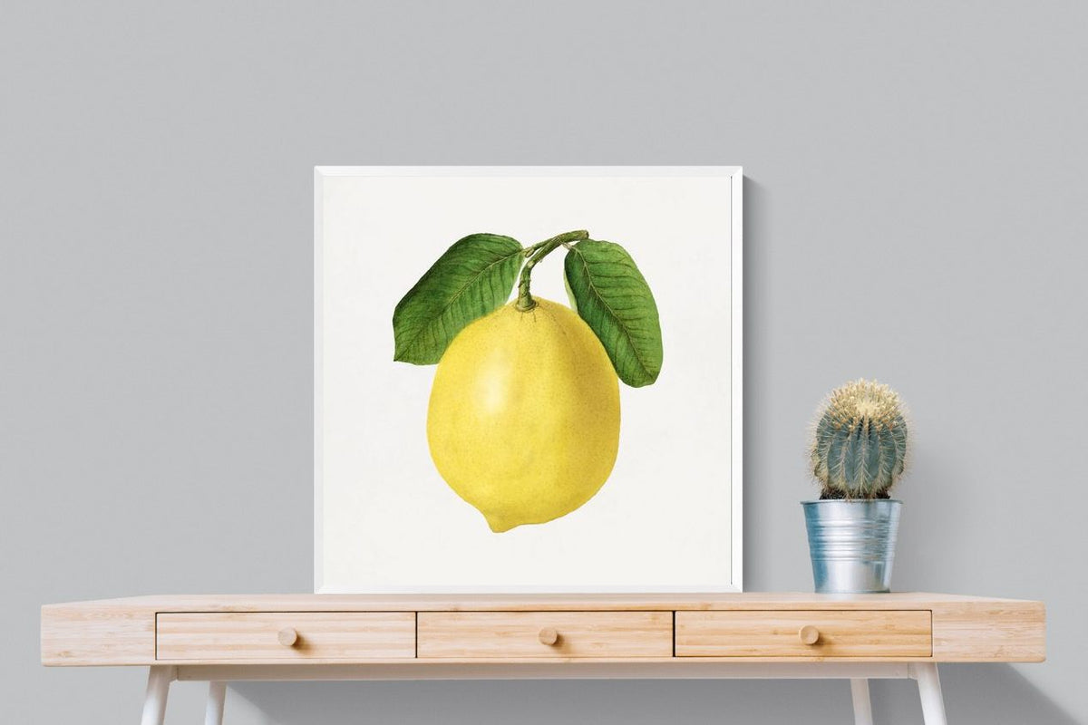 Pixalot ® Lemon