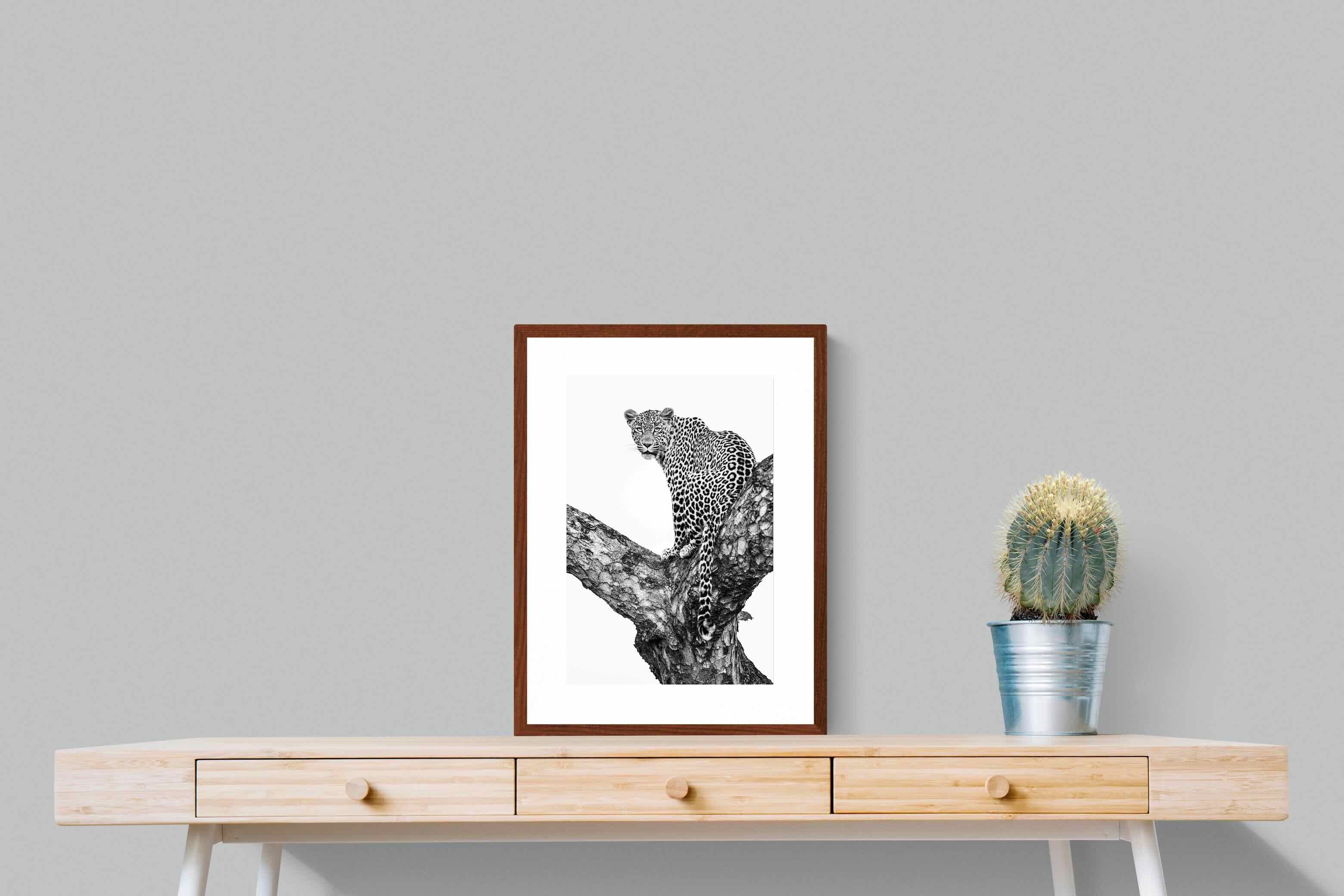 Pixalot ® Leopard in the Tree