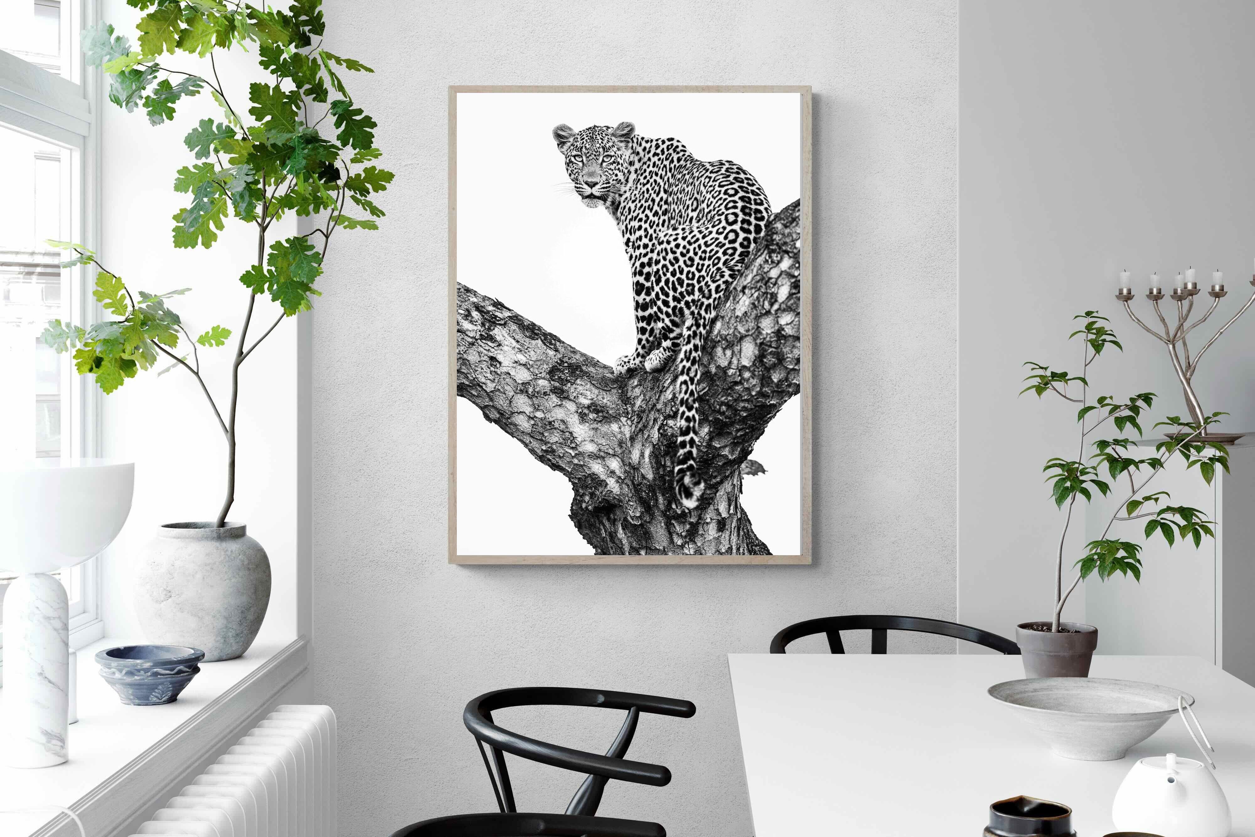 Pixalot ® Leopard in the Tree