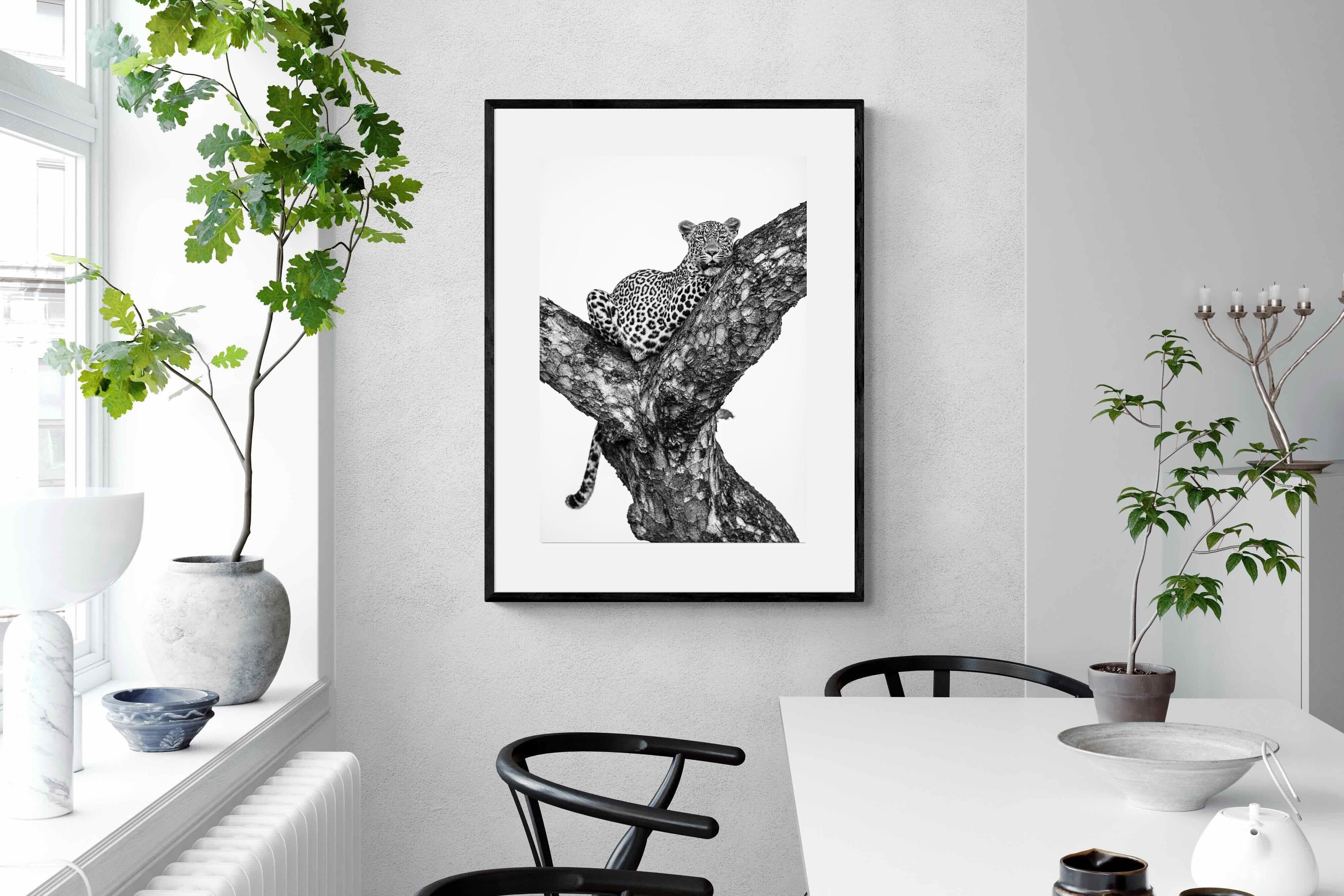 Pixalot ® Leopard Lookout