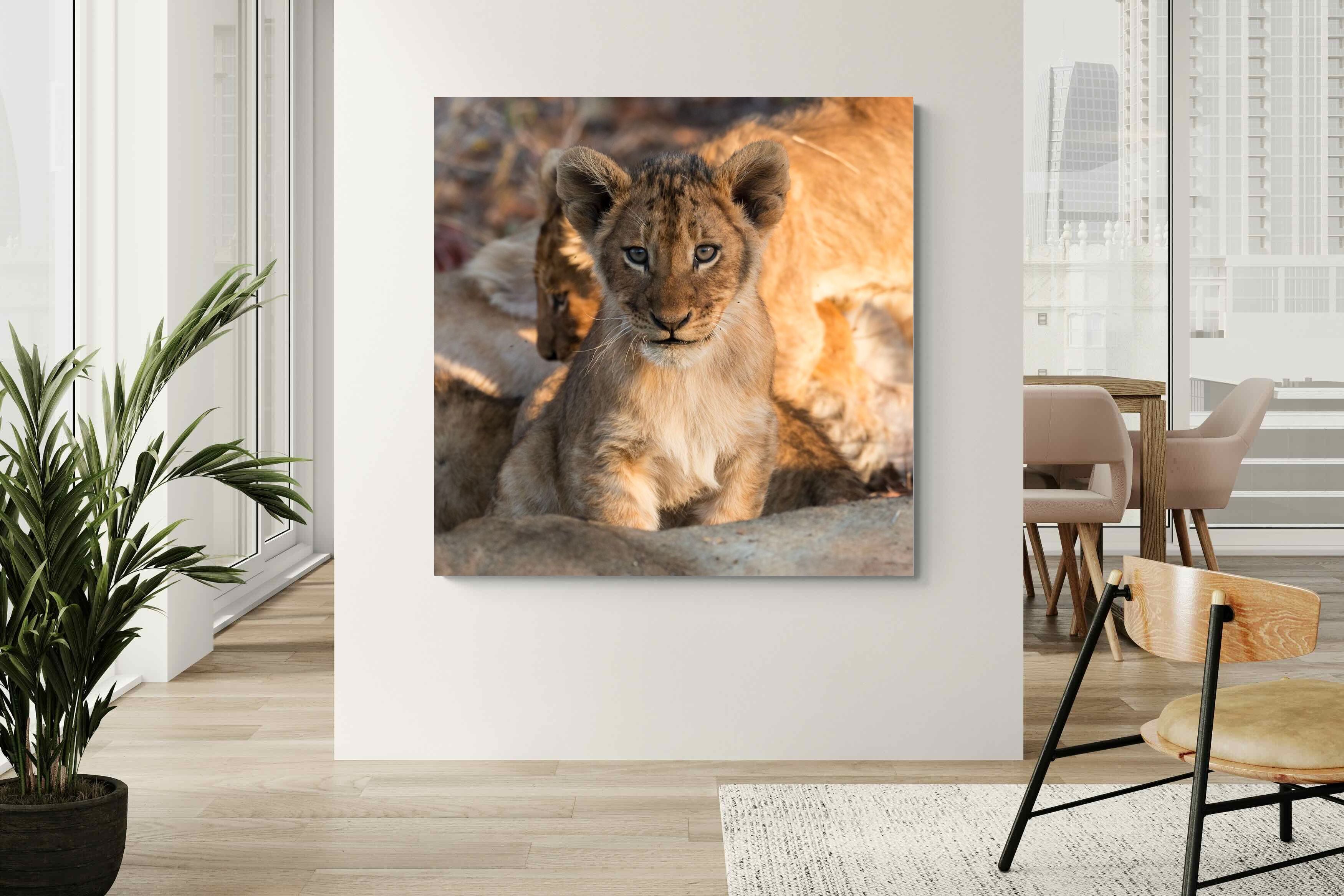 Pixalot ® Little Lion
