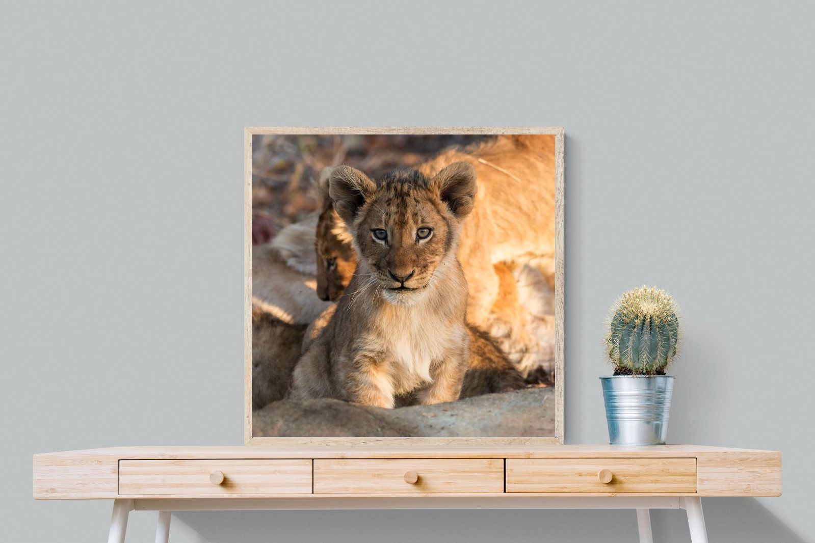 Pixalot ® Little Lion