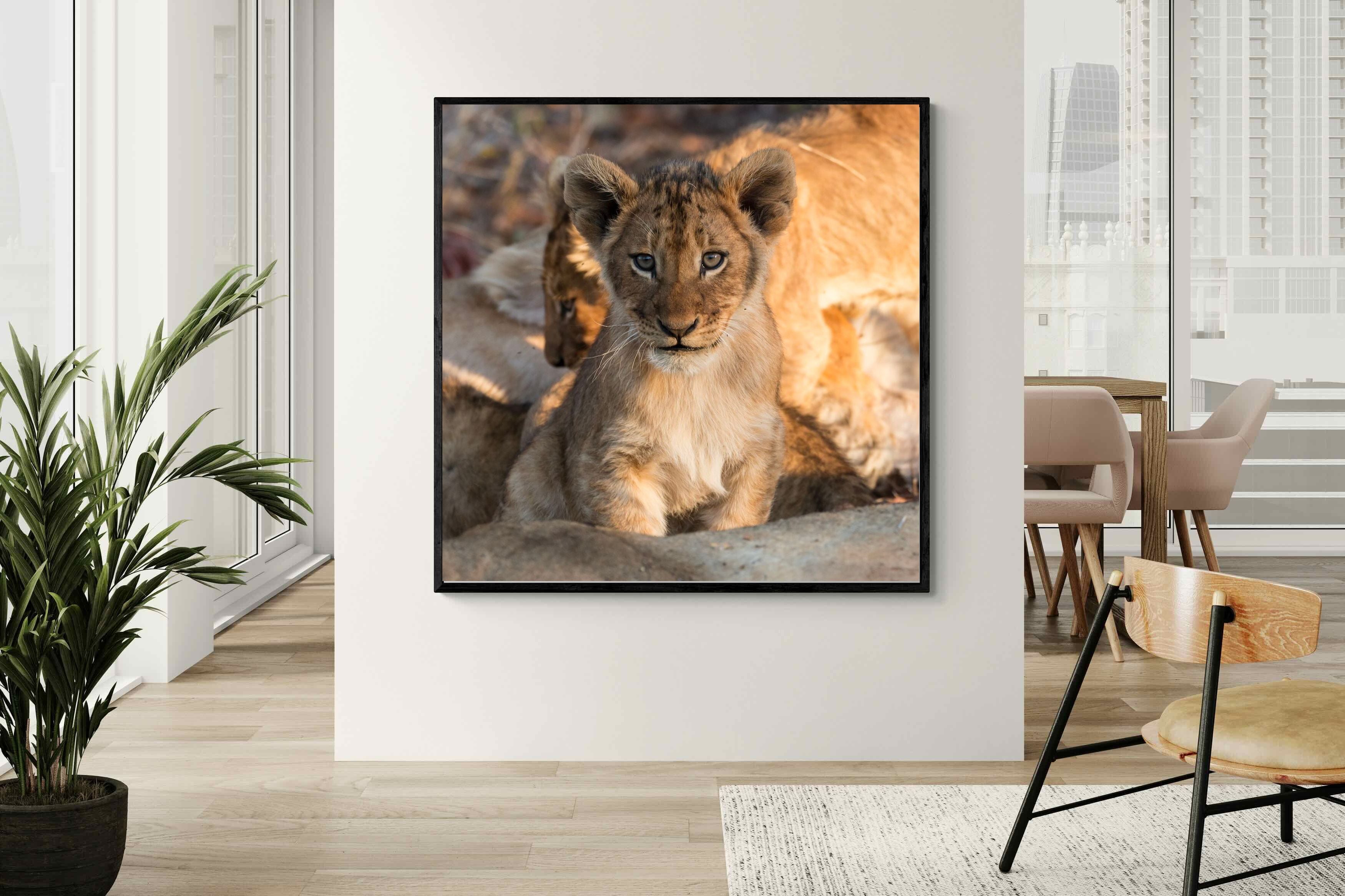 Pixalot ® Little Lion