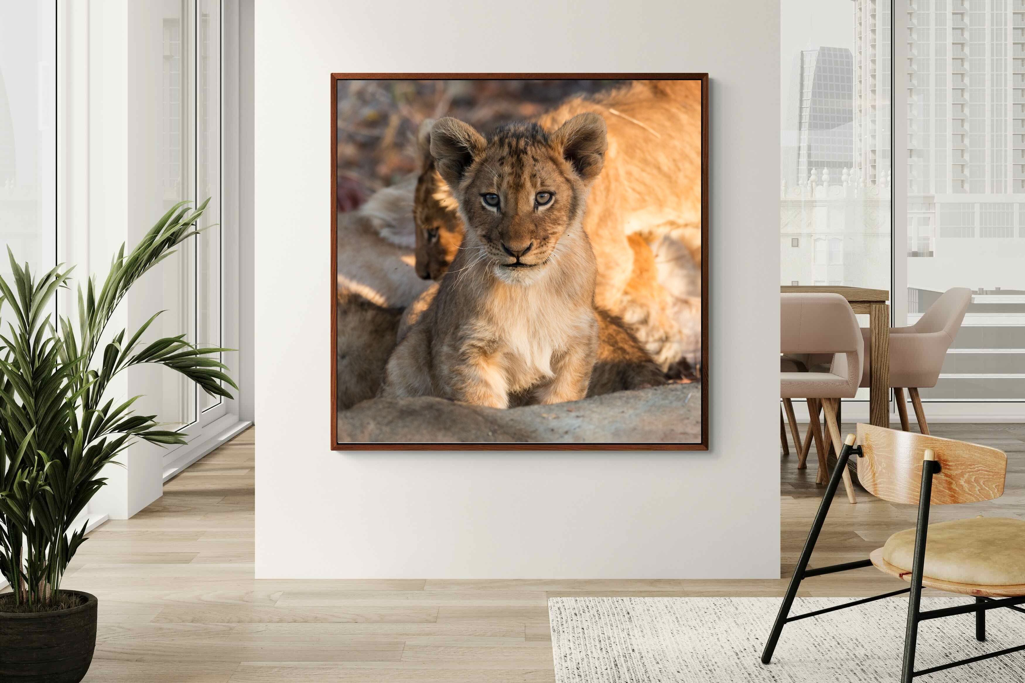 Pixalot ® Little Lion