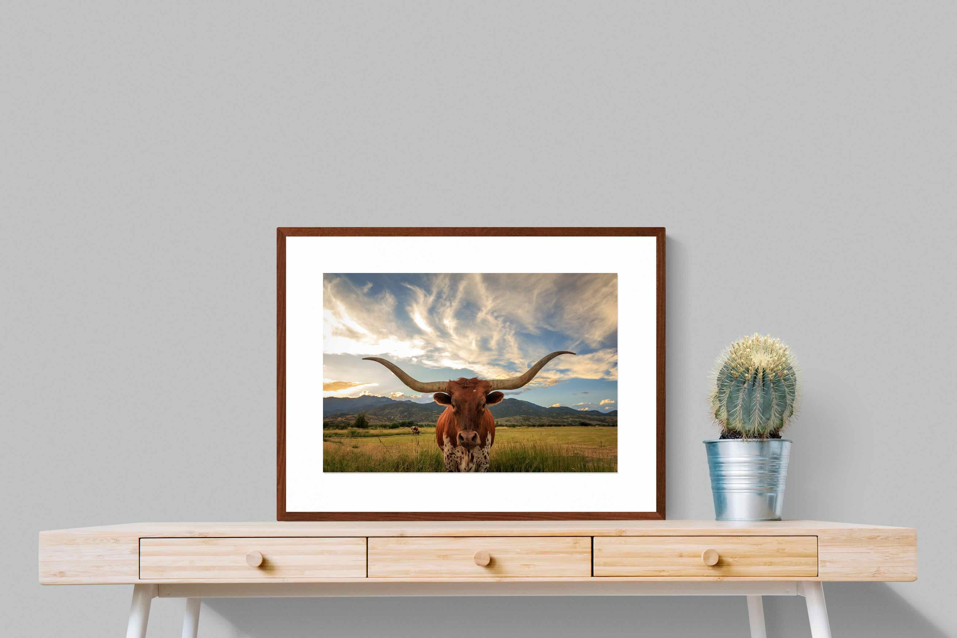 Pixalot ® Long Horn