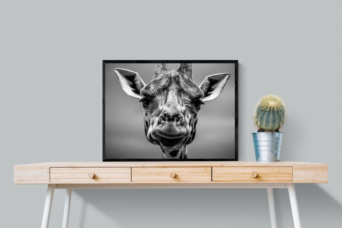 Pixalot ® Mr Giraffe