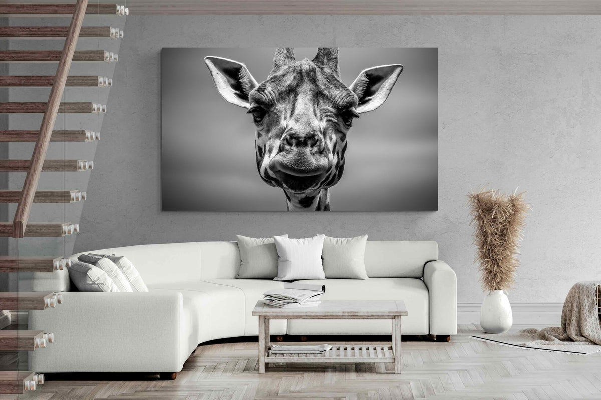 Pixalot ® Mr Giraffe