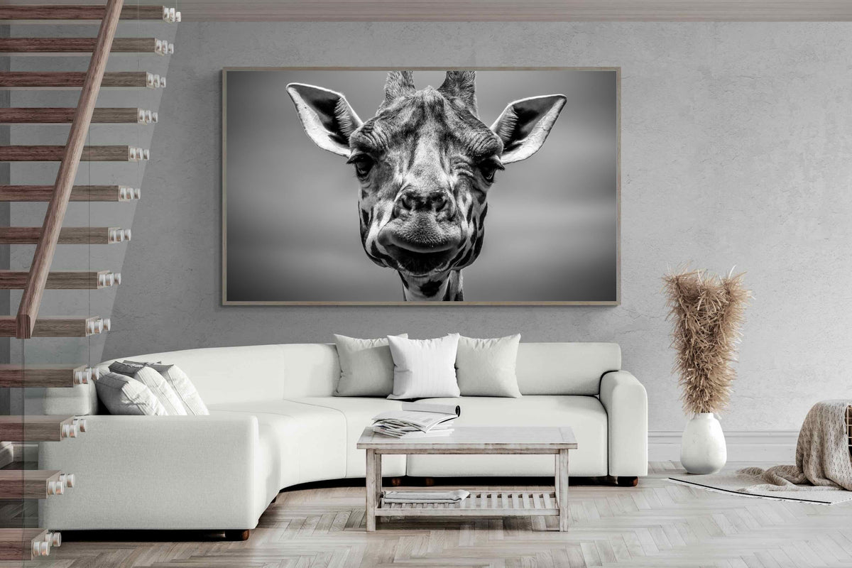 Pixalot ® Mr Giraffe