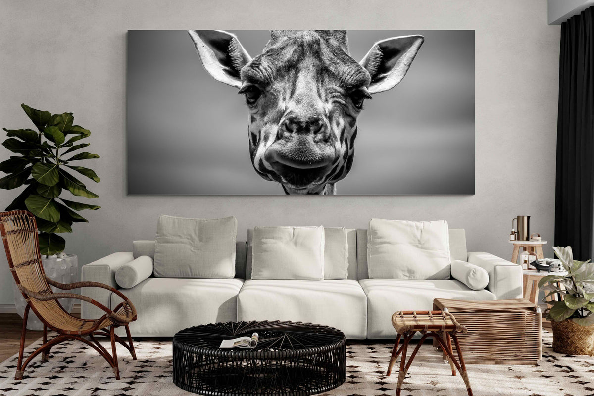 Pixalot ® Mr Giraffe