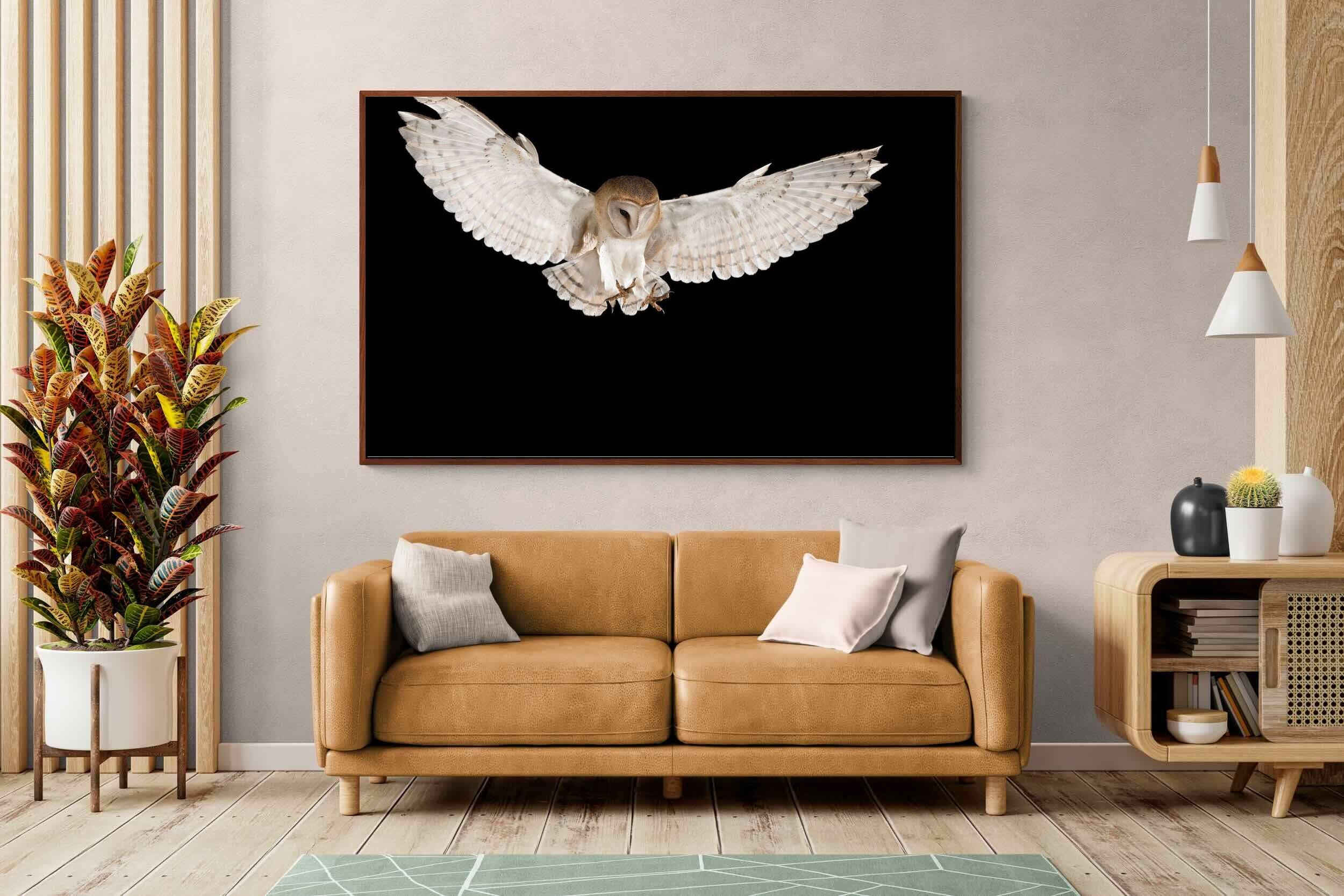 Pixalot ® Owl Attack