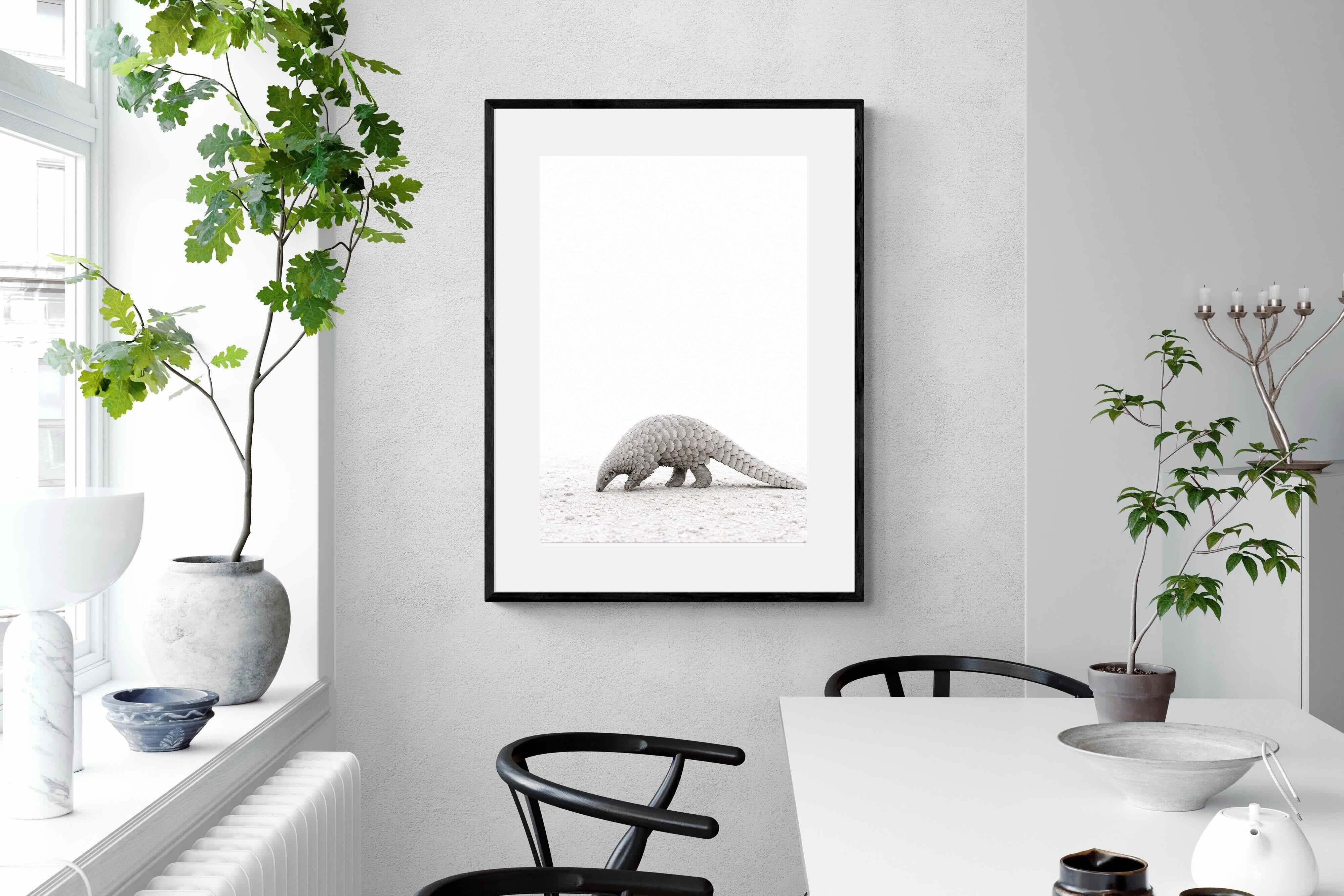 Pixalot ® Pangolin