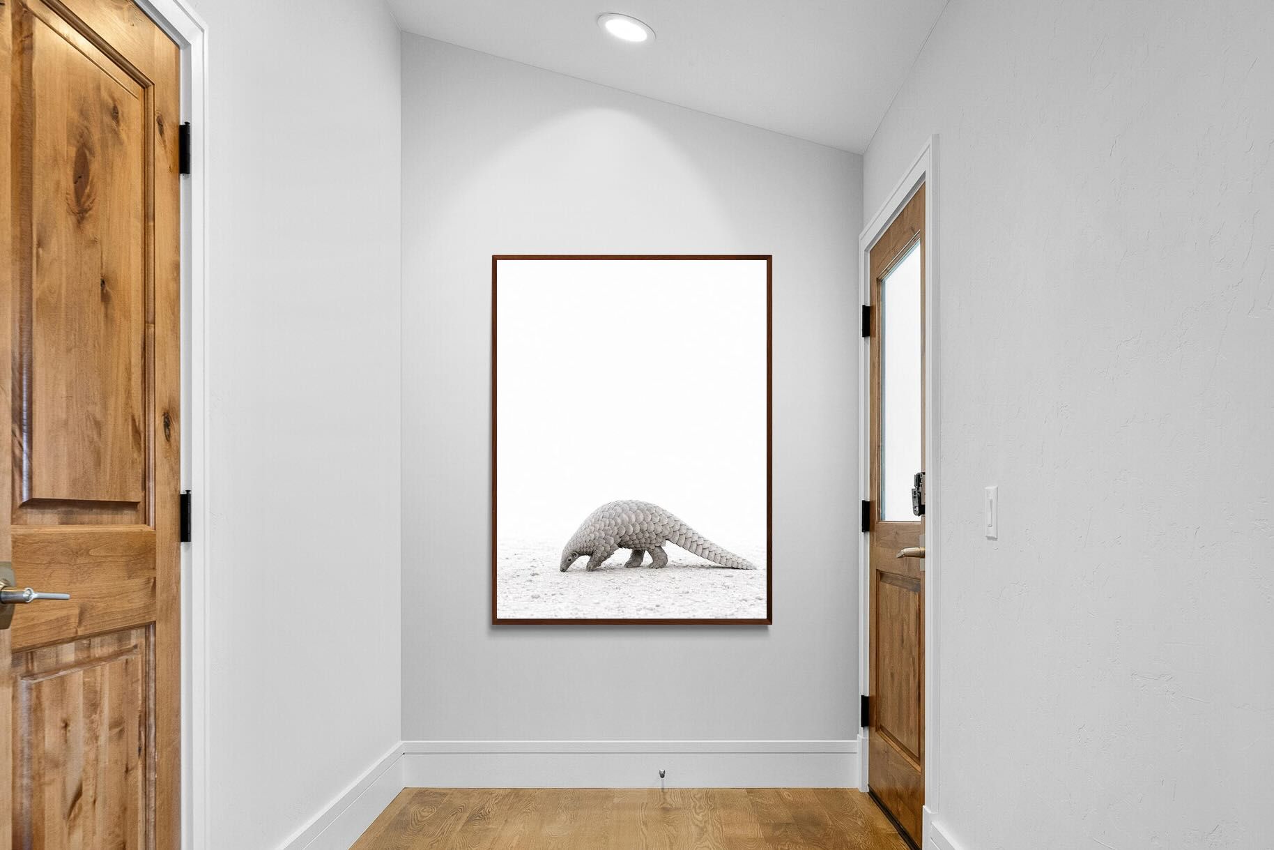 Pixalot ® Pangolin
