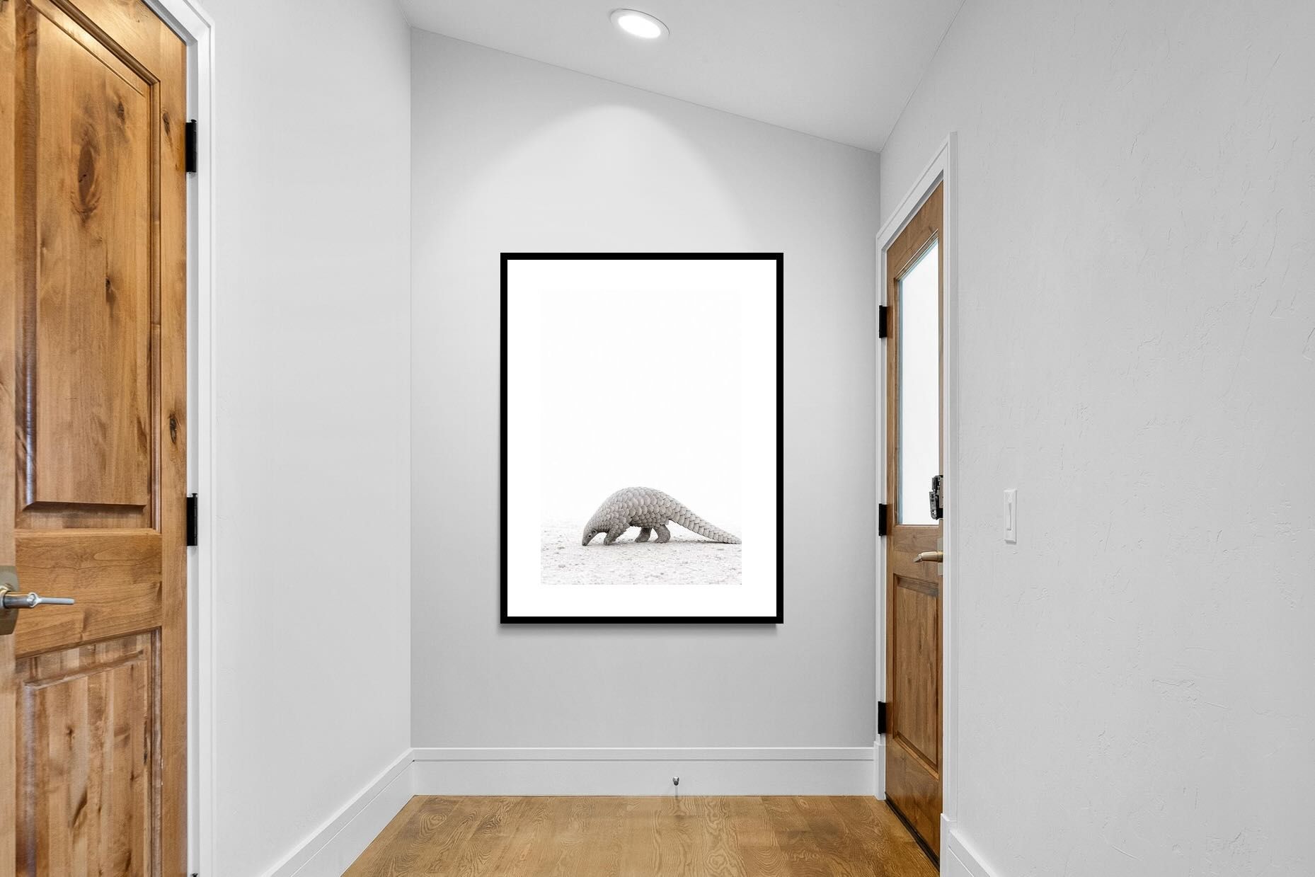 Pixalot ® Pangolin