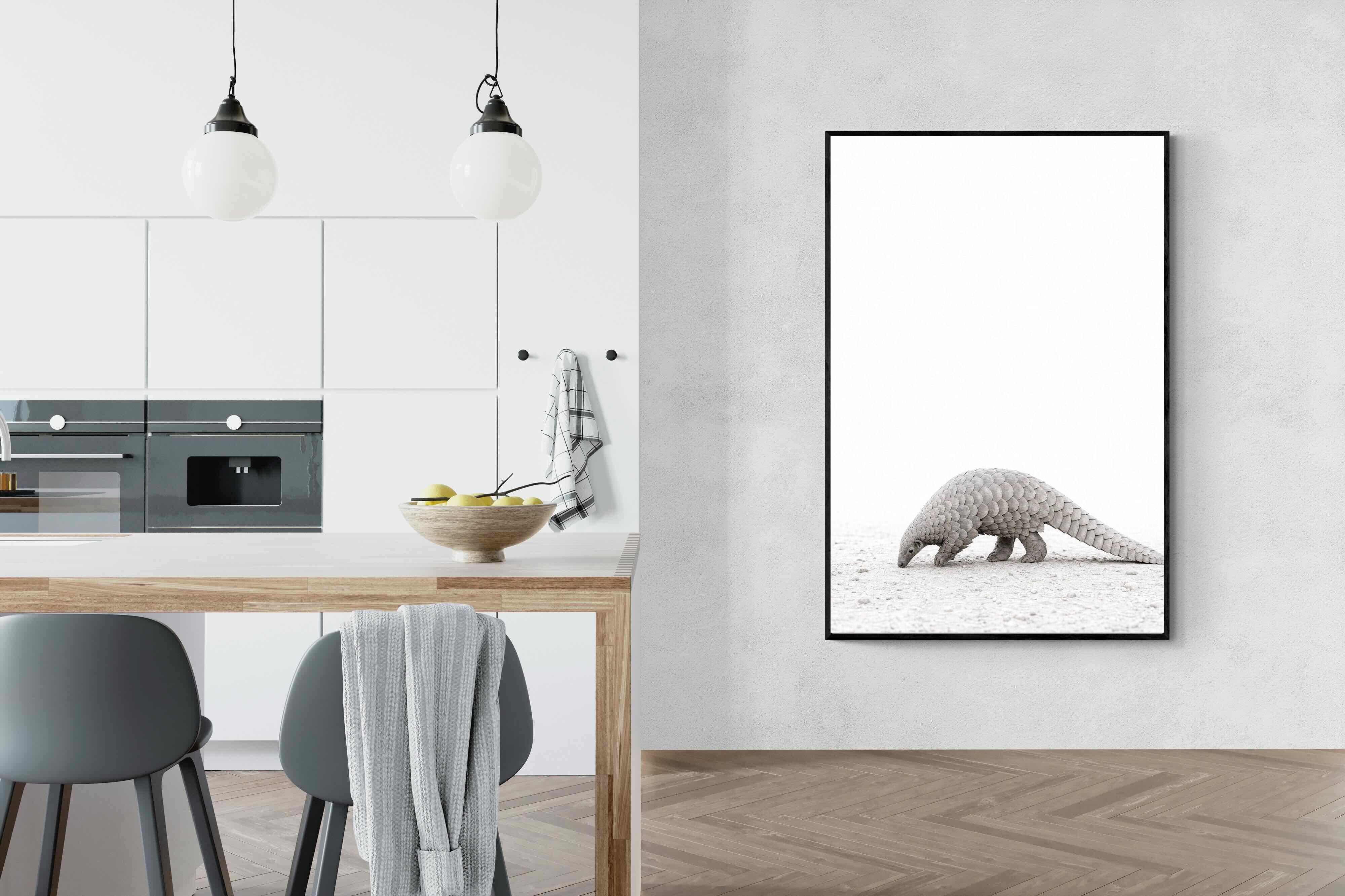 Pixalot ® Pangolin