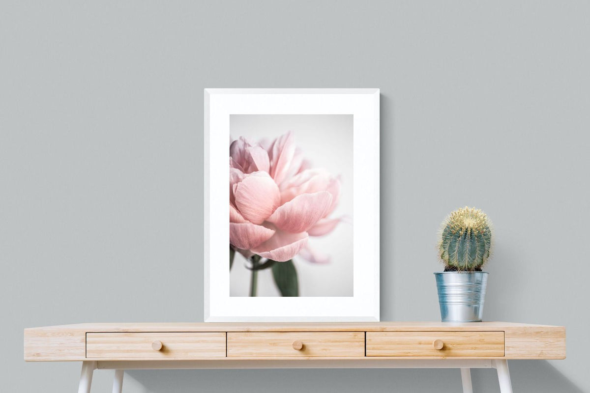 Pixalot ® Plush Peony
