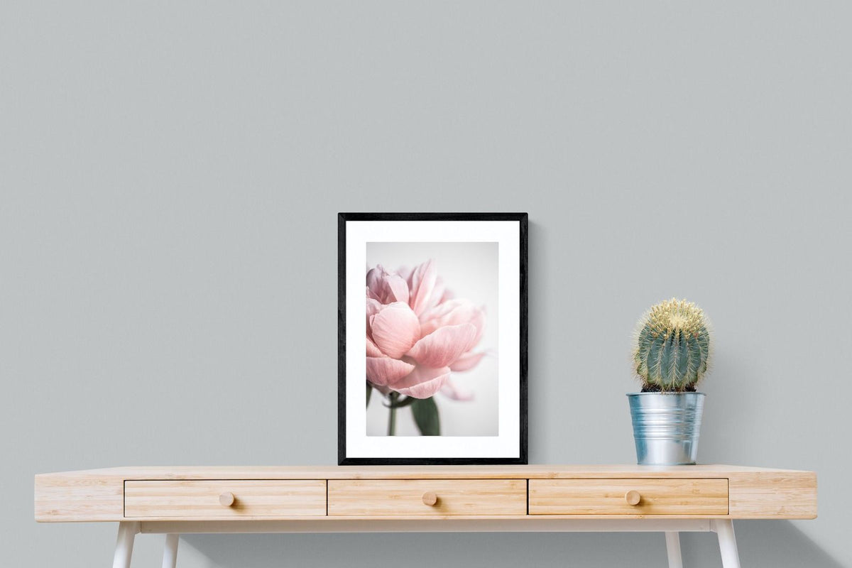 Pixalot ® Plush Peony