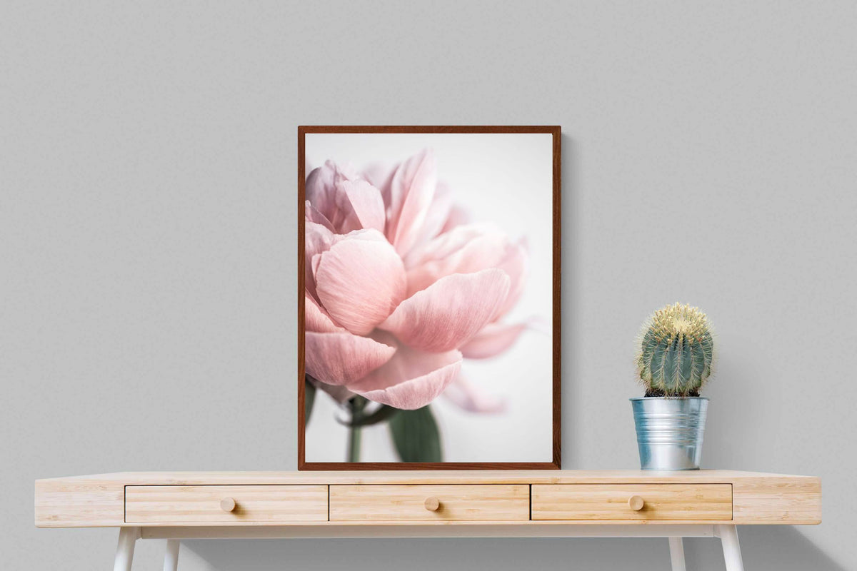 Pixalot ® Plush Peony