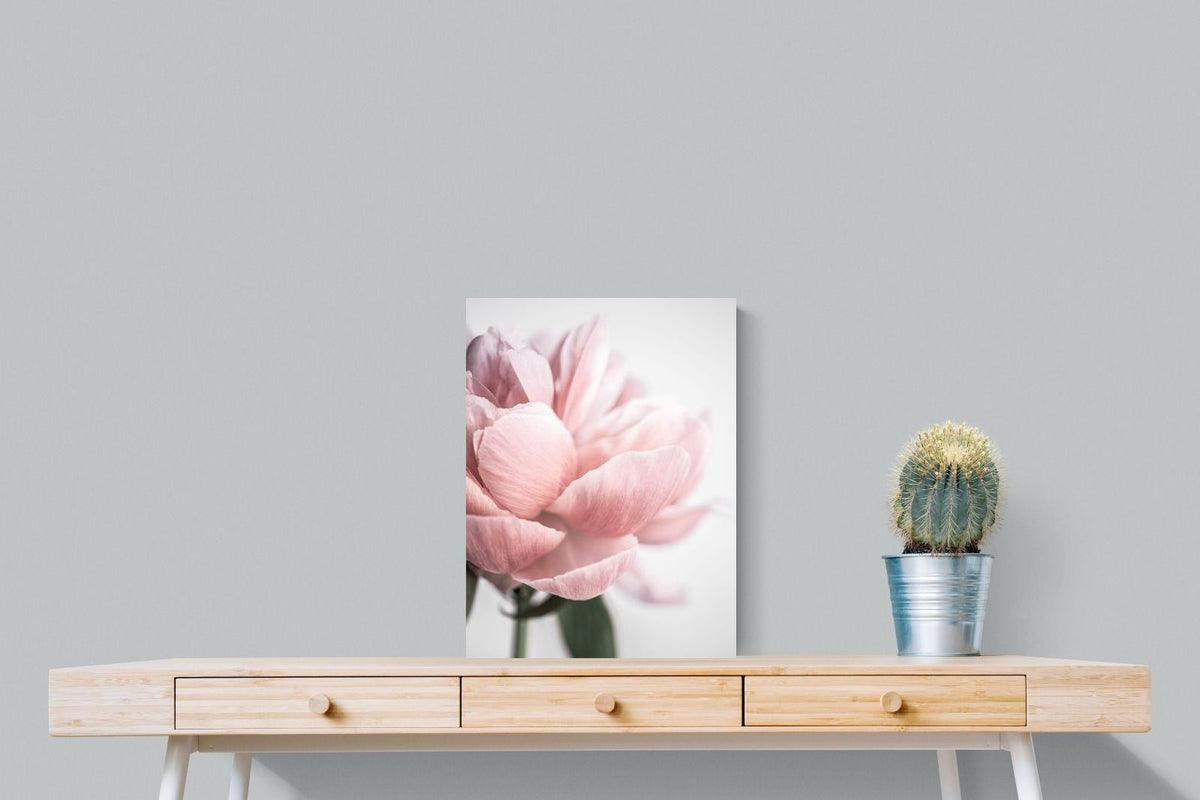 Pixalot ® Plush Peony