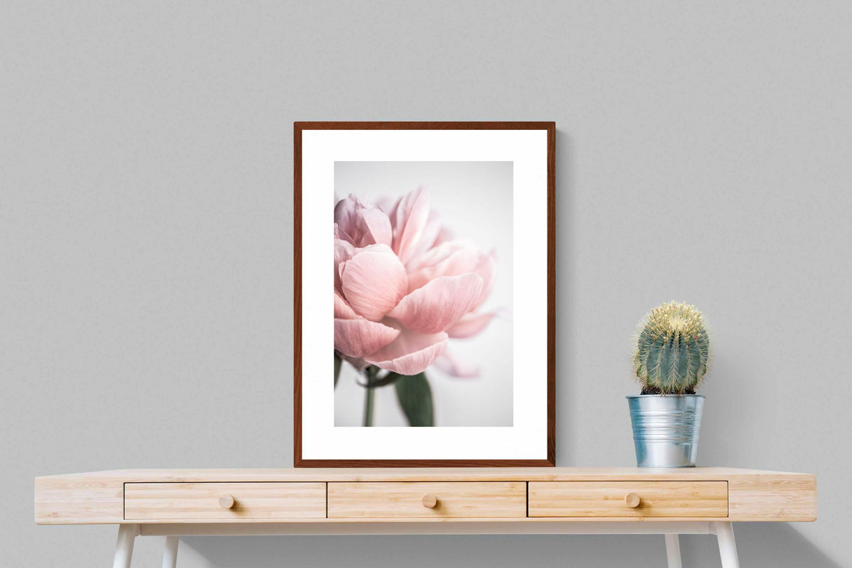 Pixalot ® Plush Peony