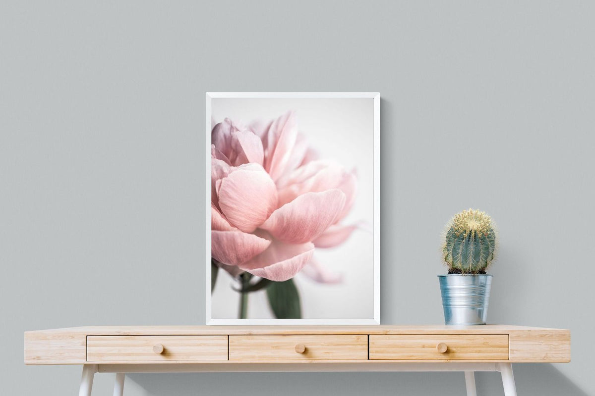 Pixalot ® Plush Peony