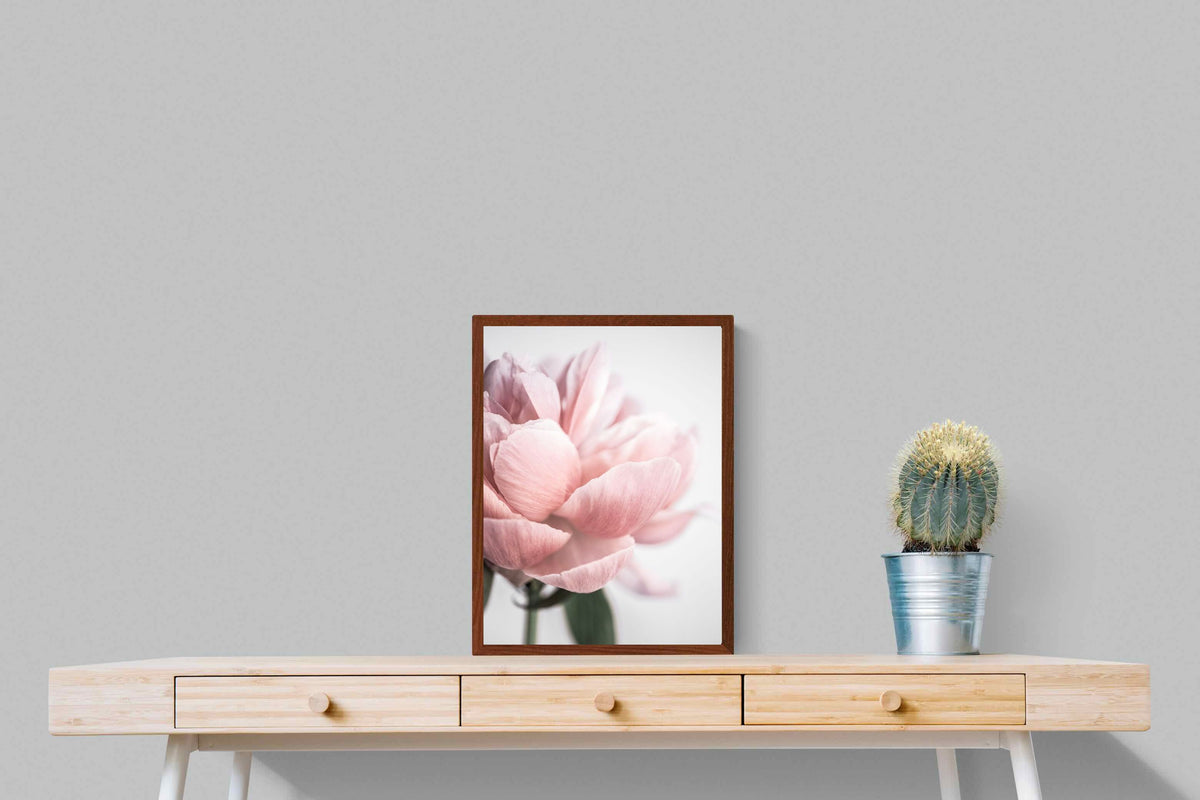 Pixalot ® Plush Peony